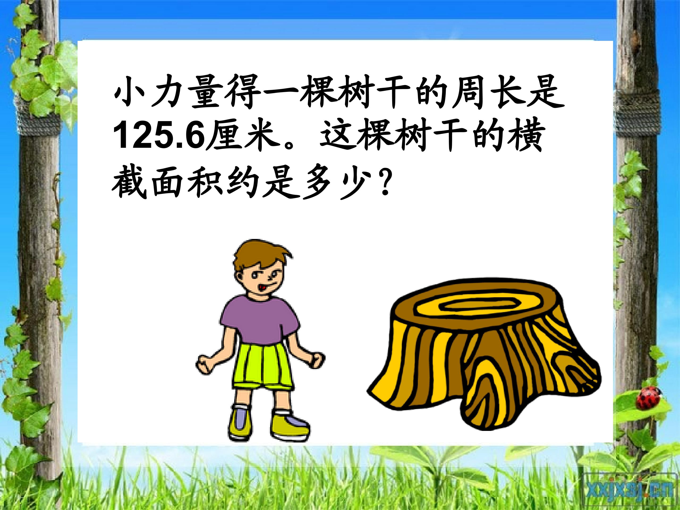 25.jpg