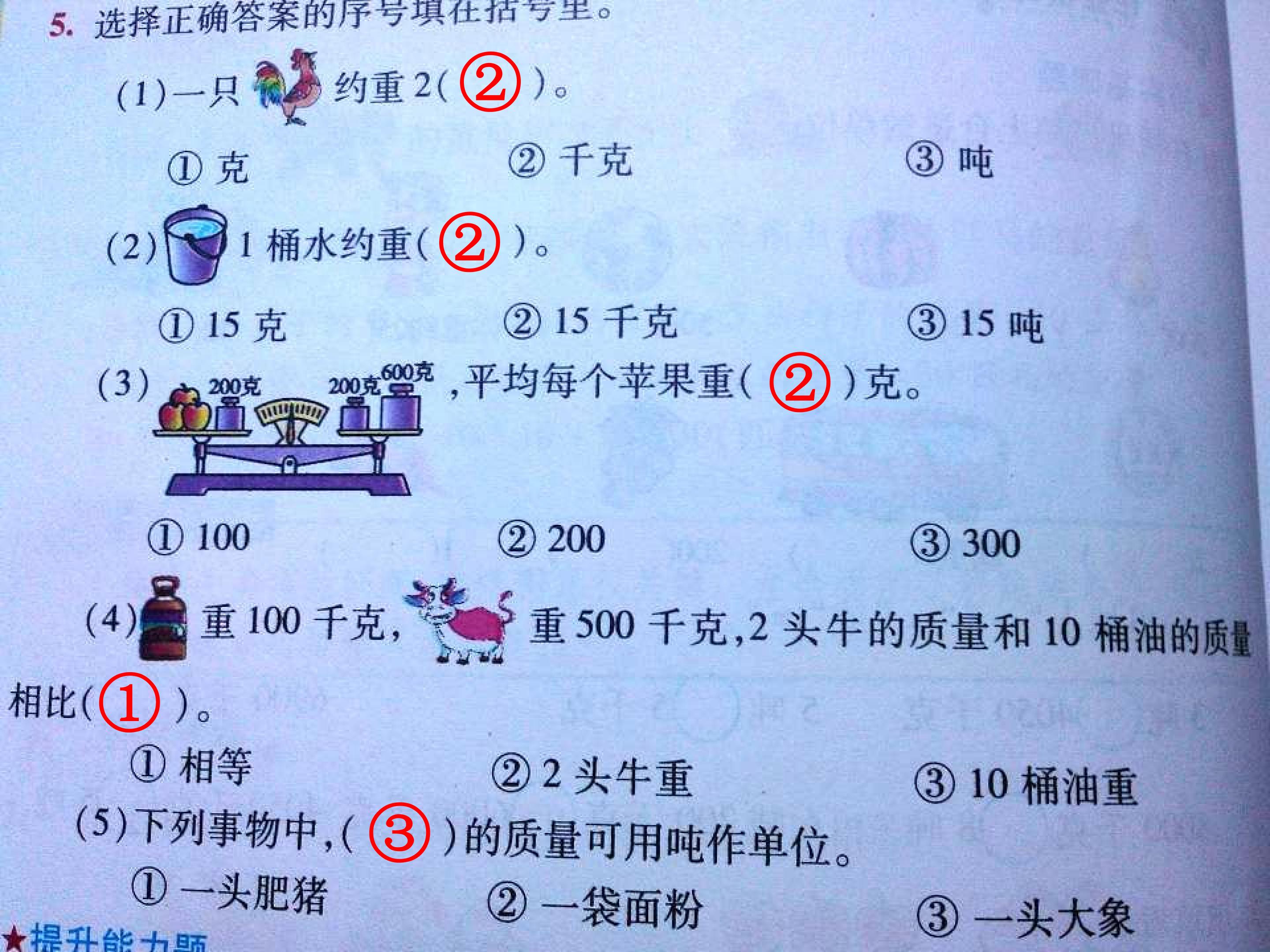 38.jpg