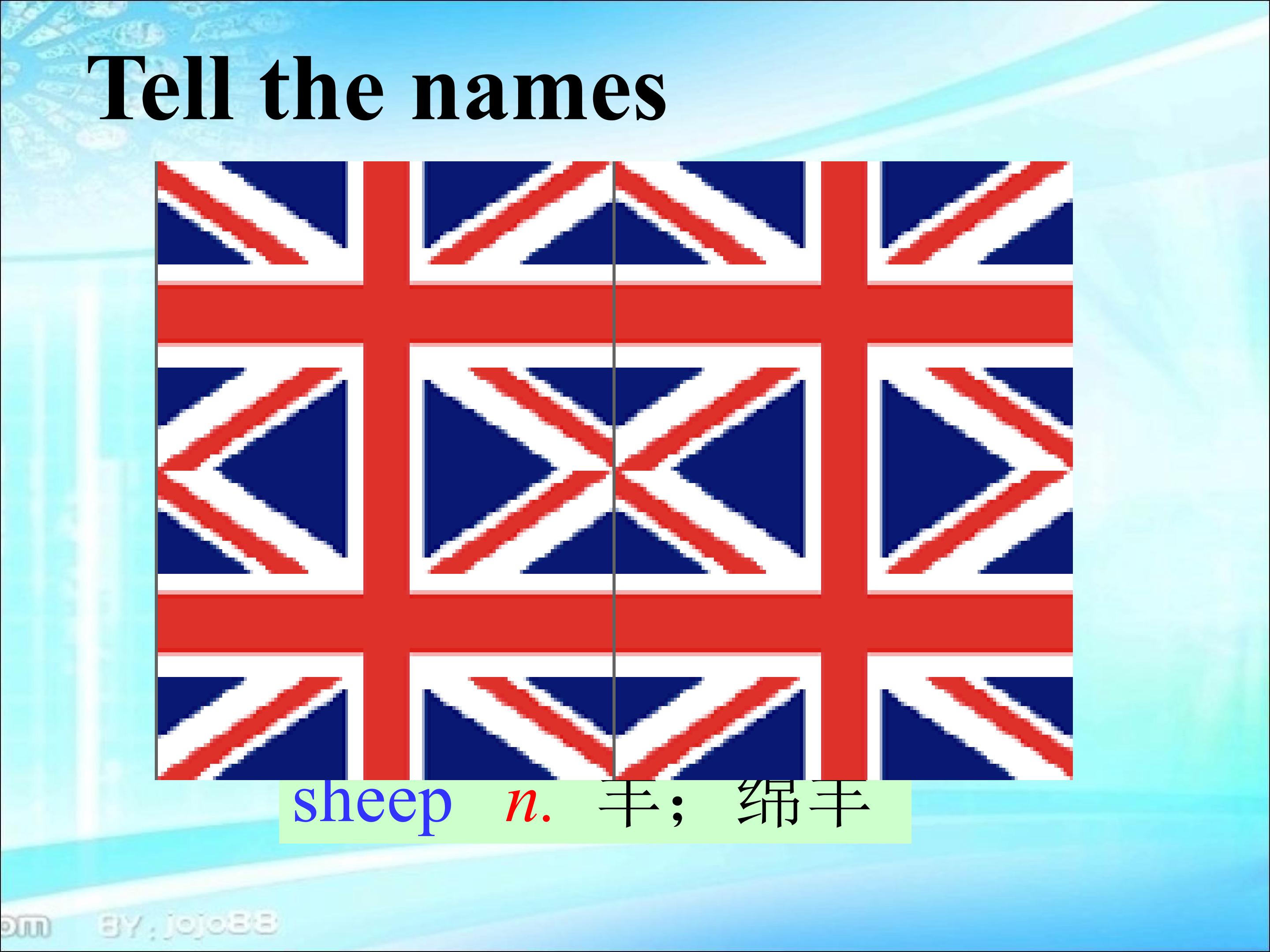 14.jpg