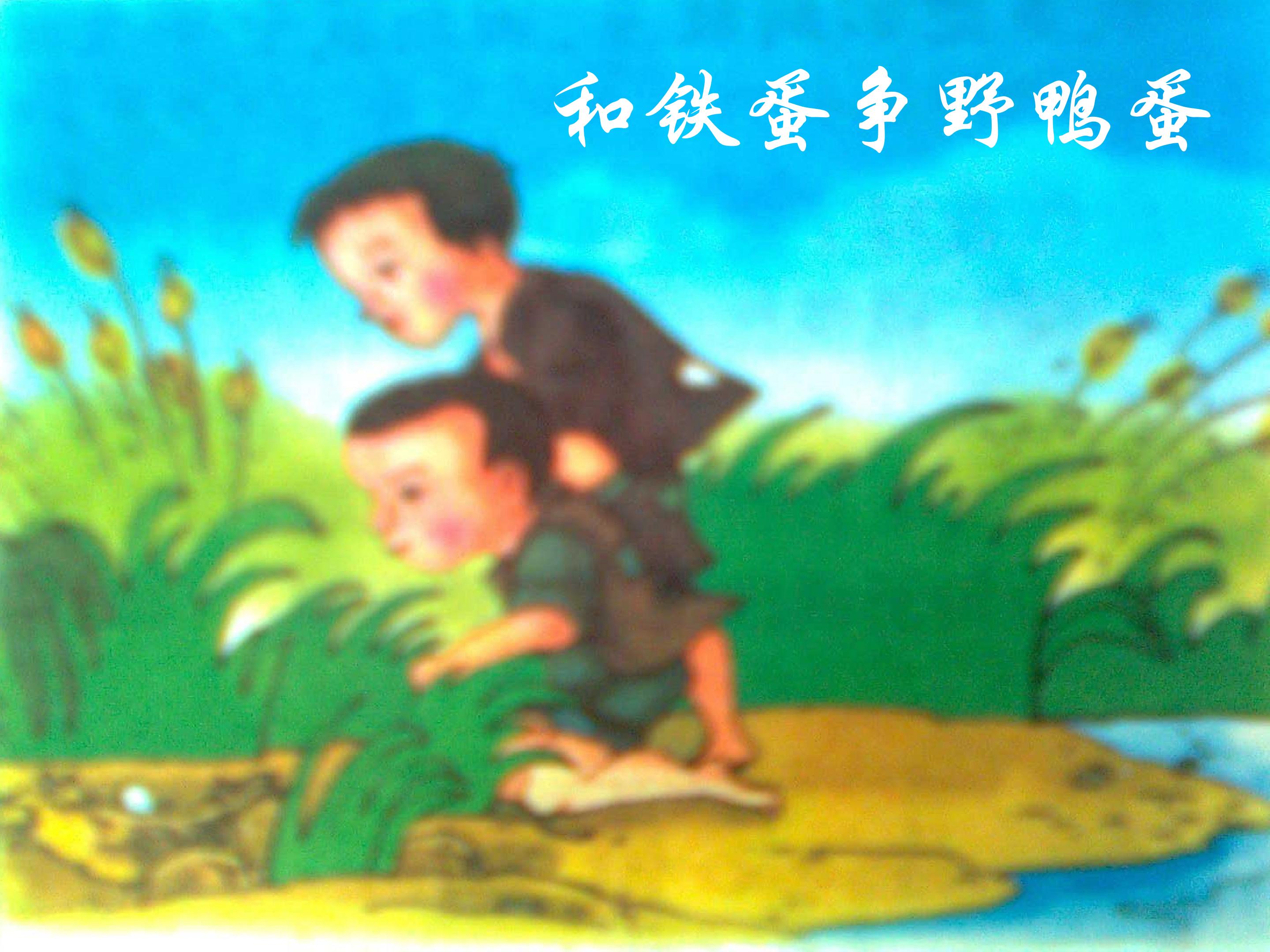 8.jpg