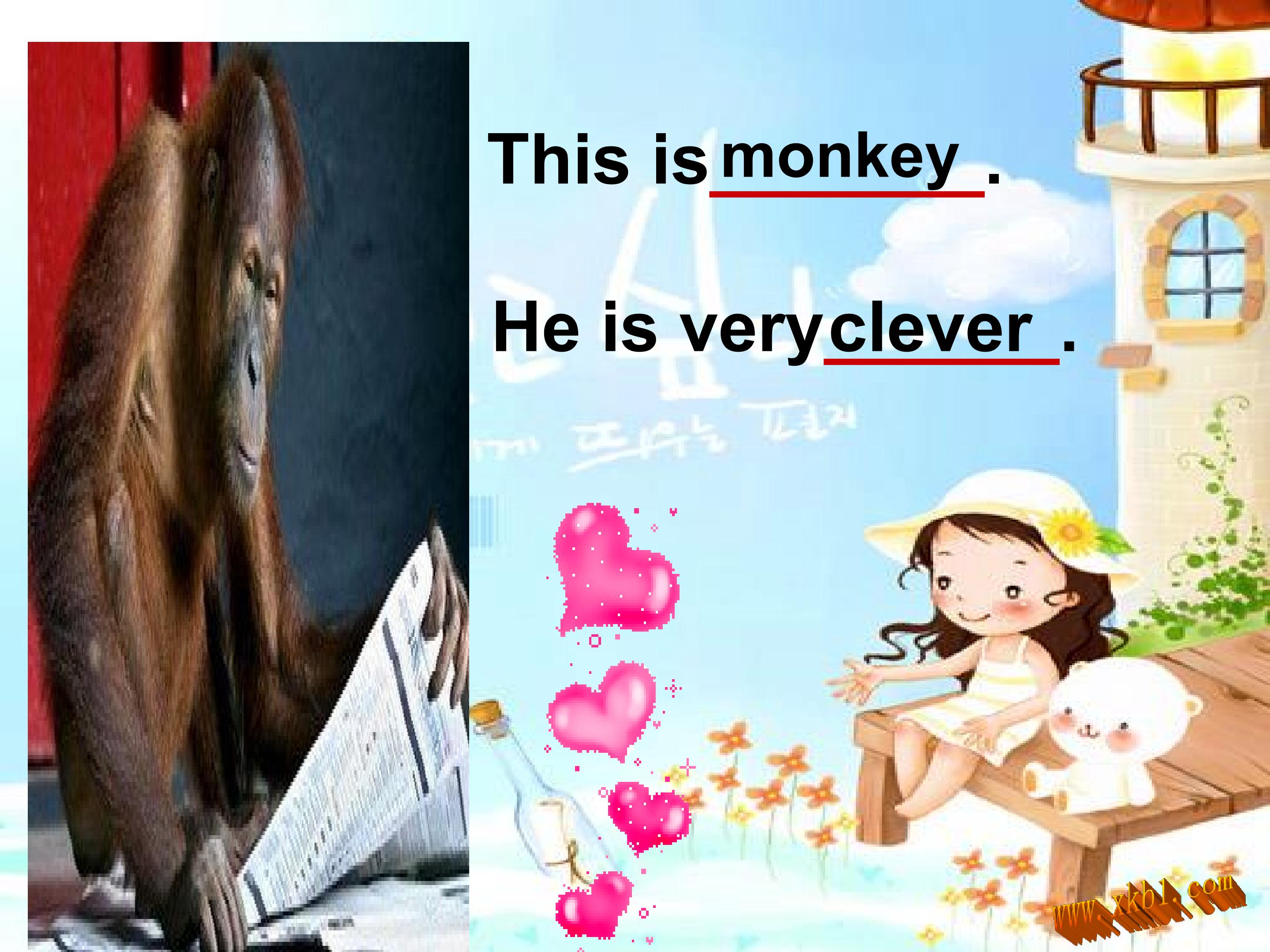 17.jpg