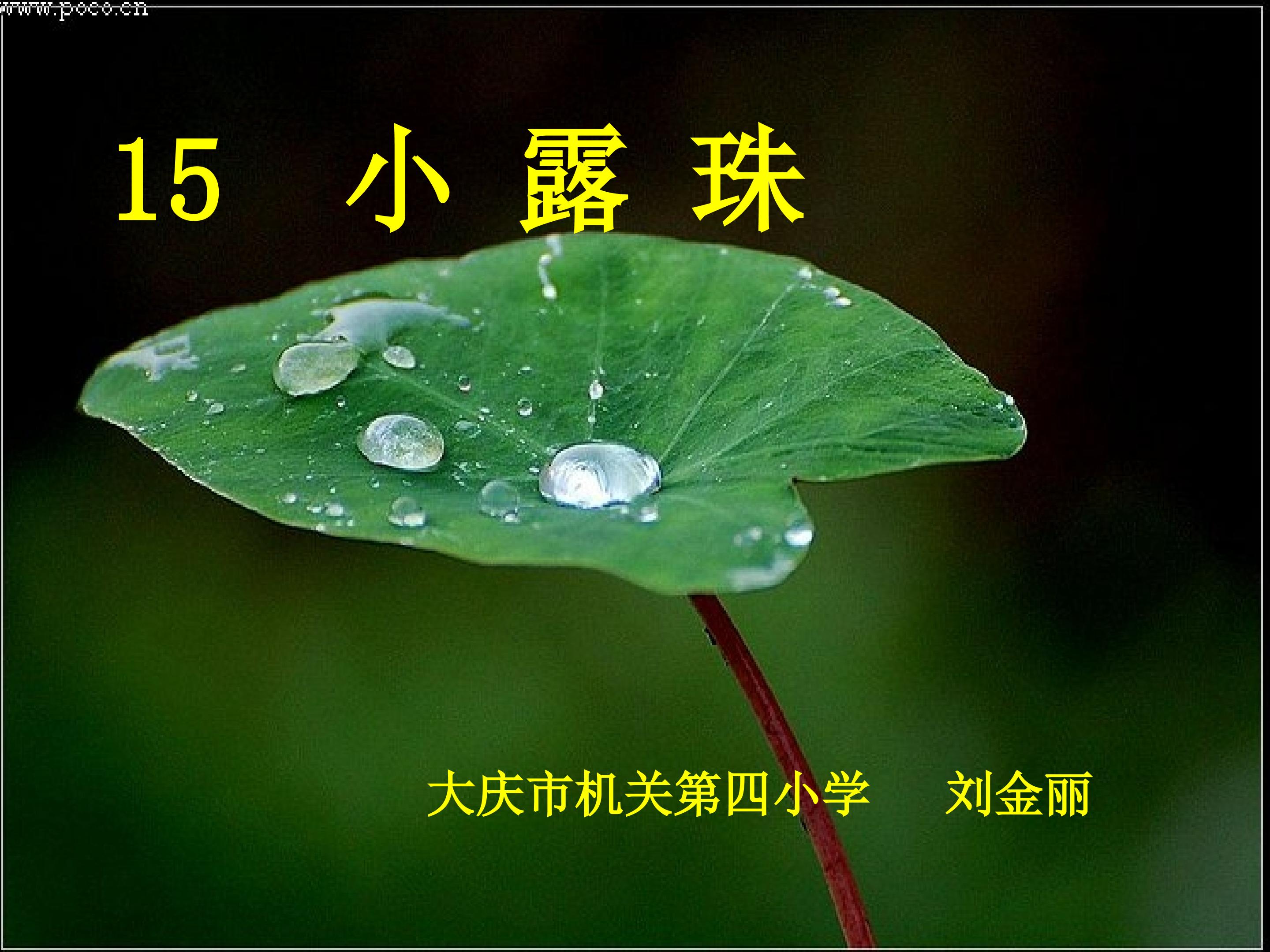 53.jpg