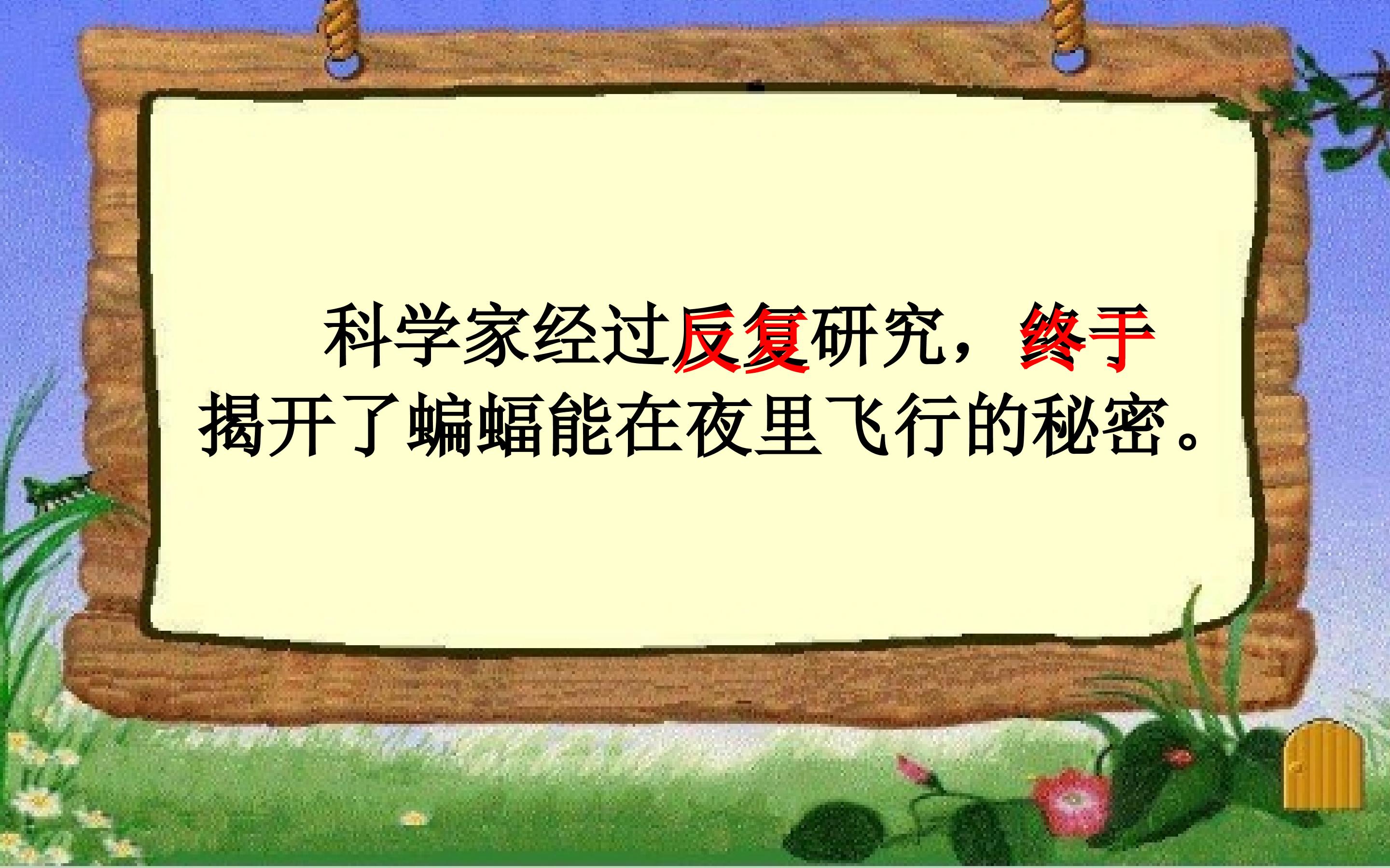 16.jpg