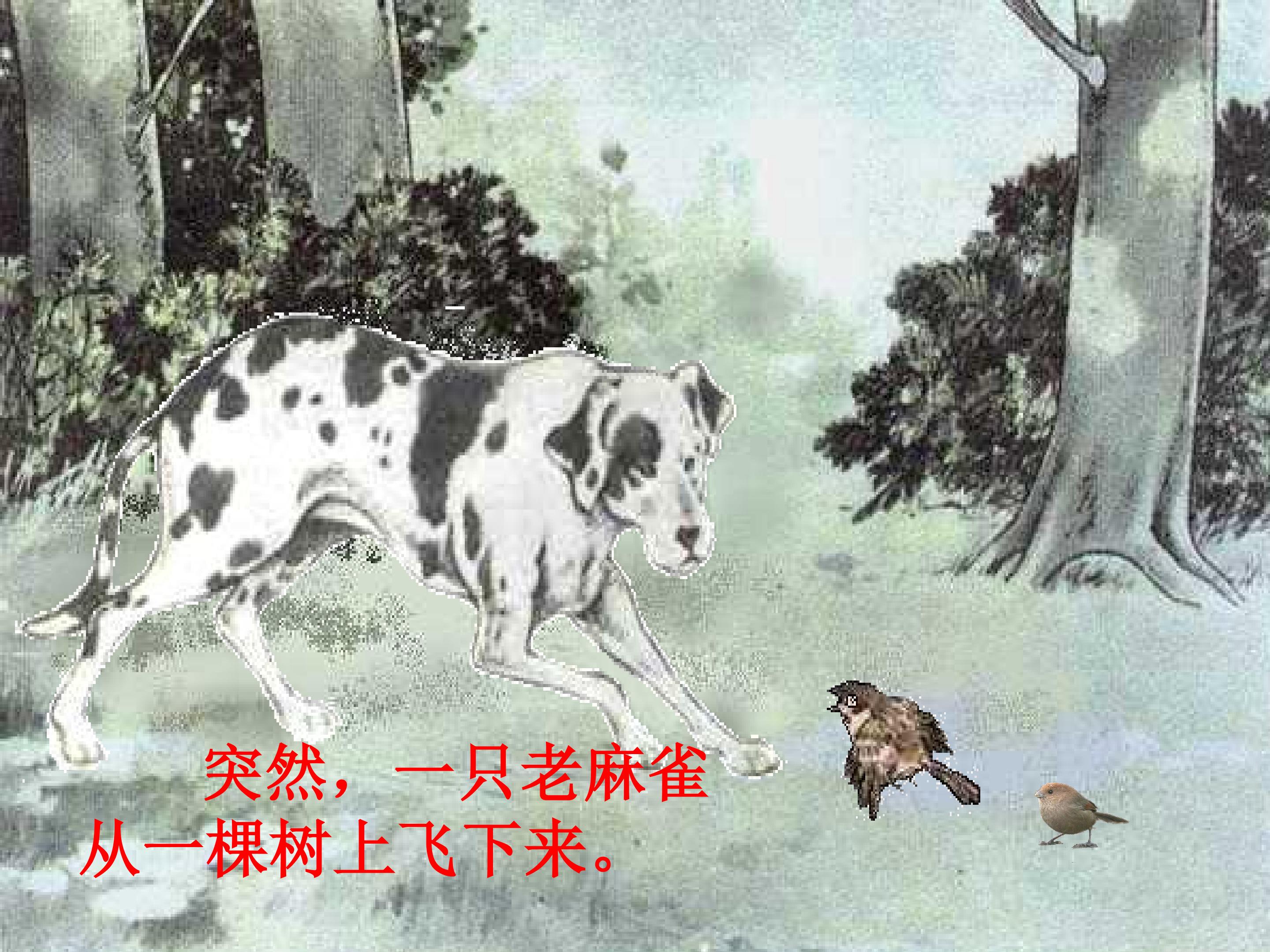 13.jpg