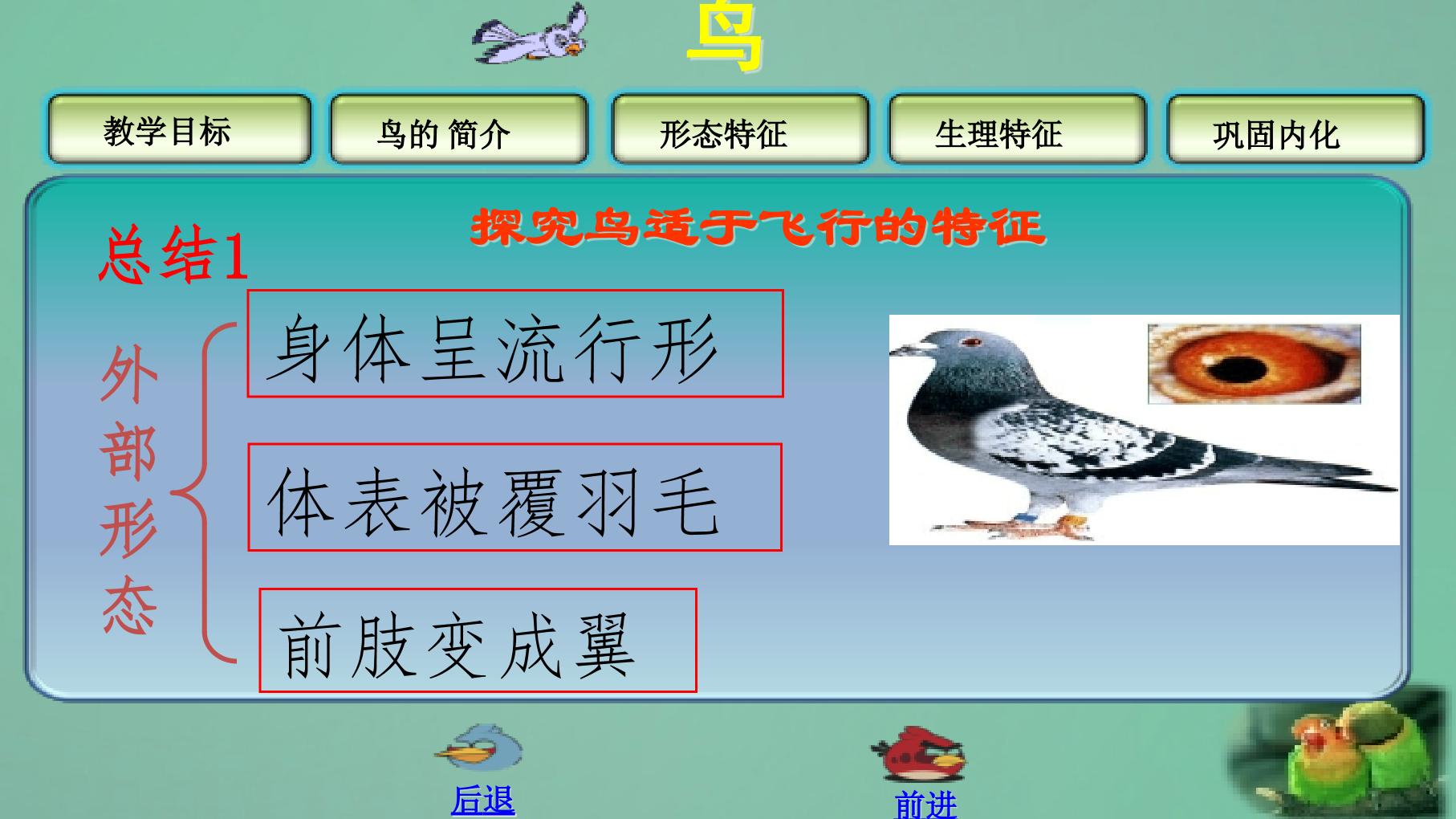 18.jpg