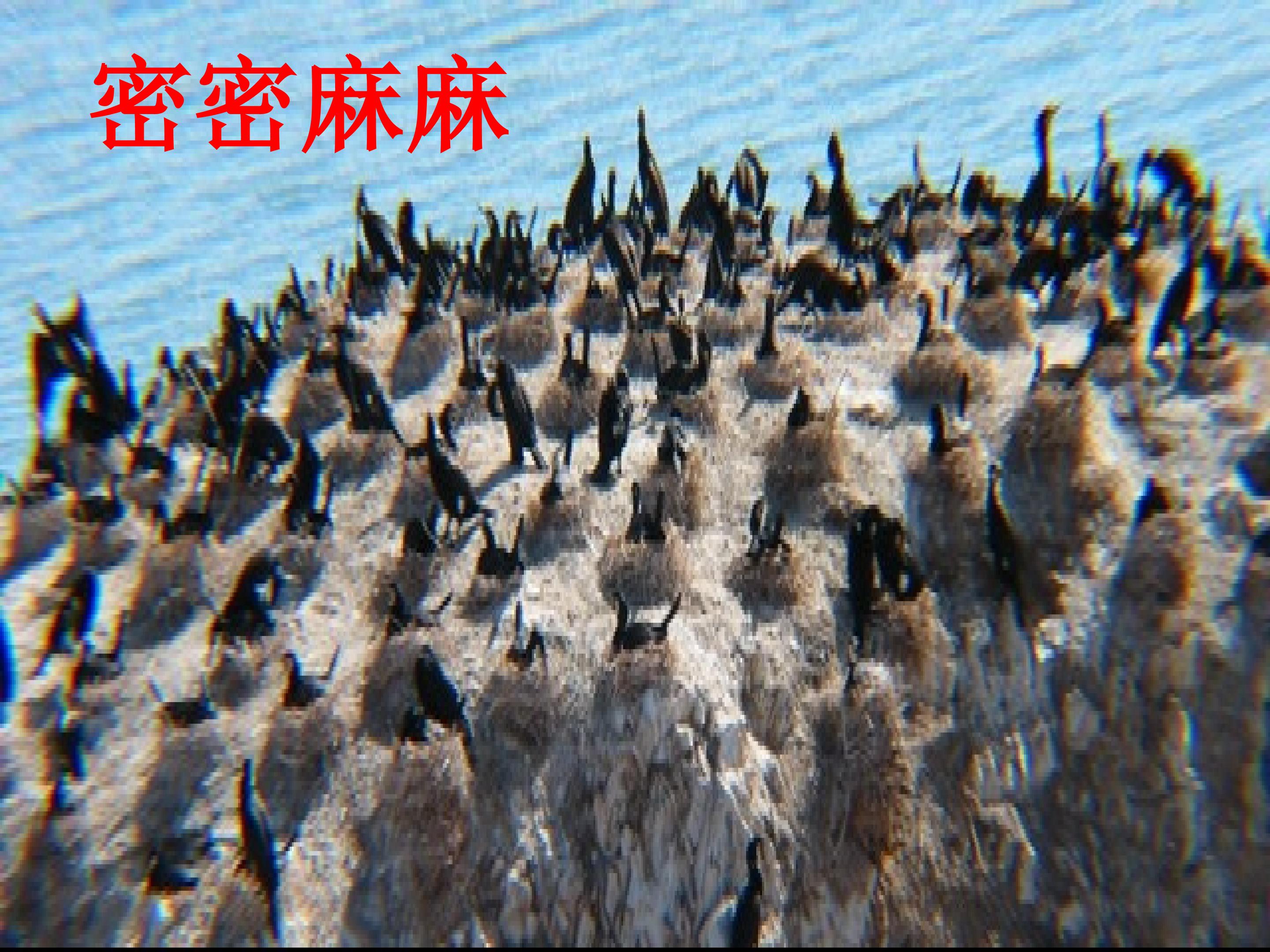 44.jpg