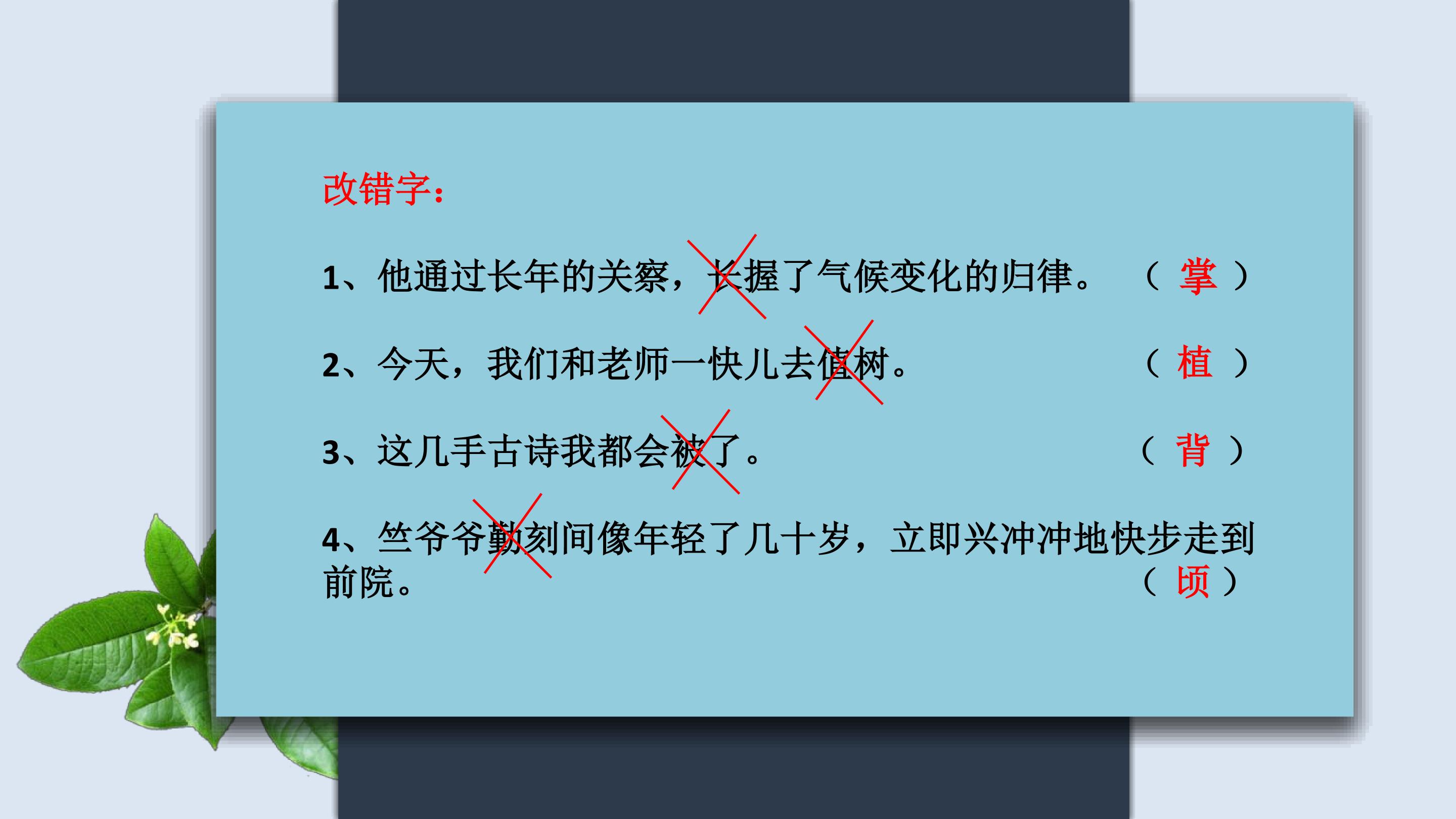 18.jpg