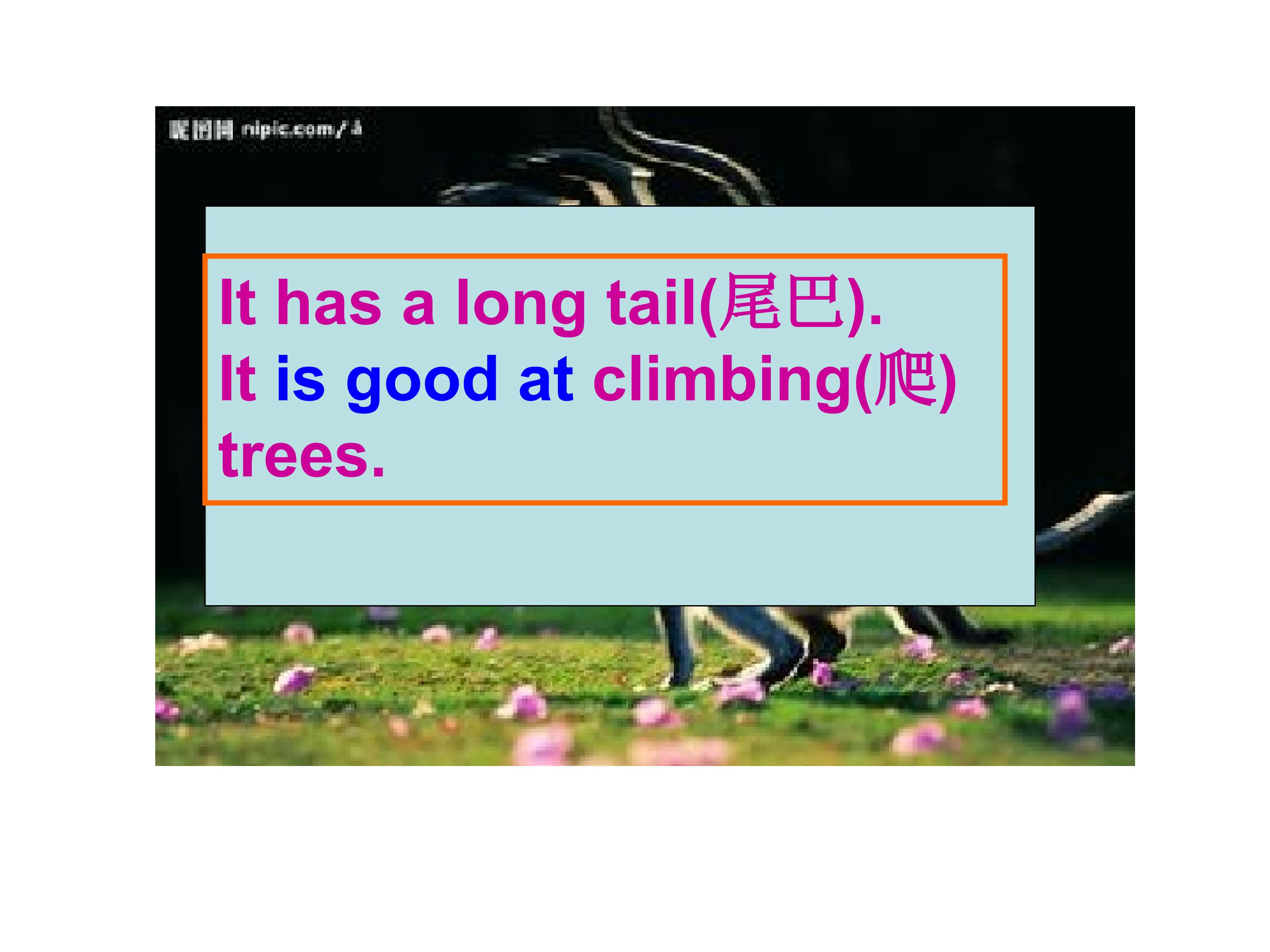 18.jpg