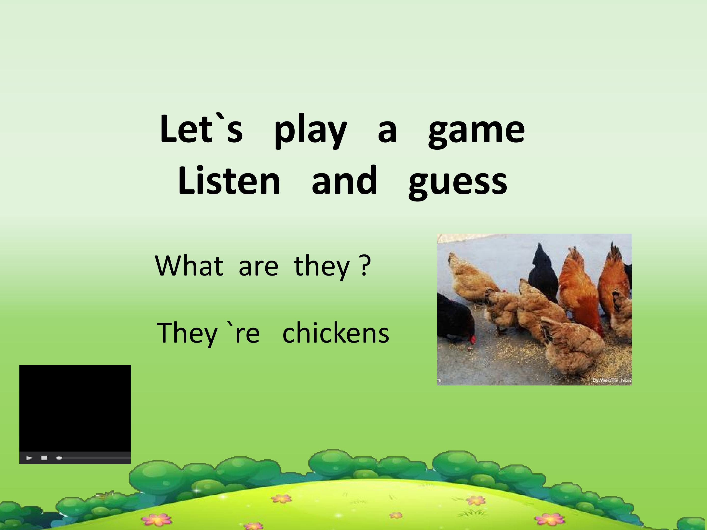 27.jpg