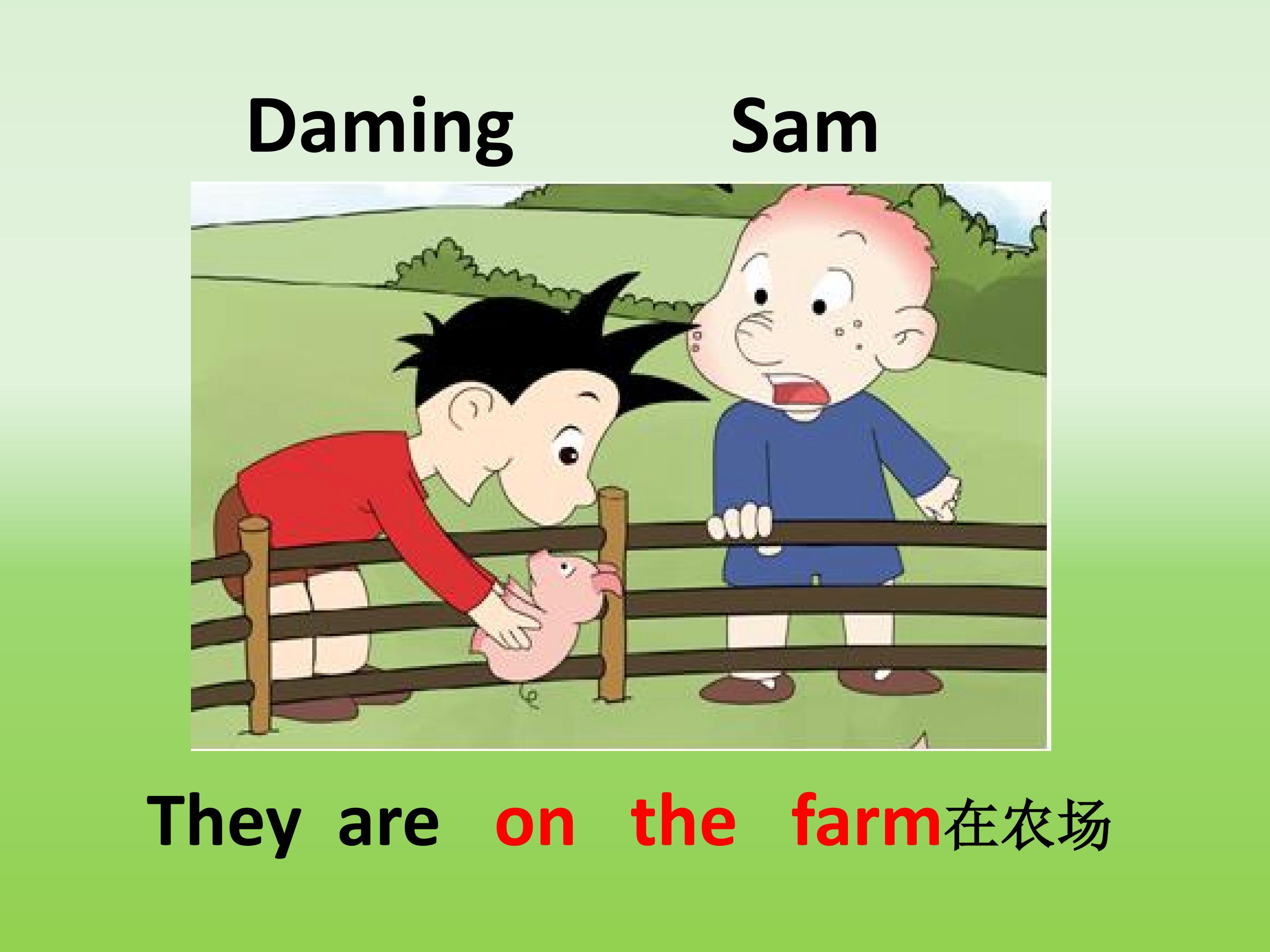 4.jpg
