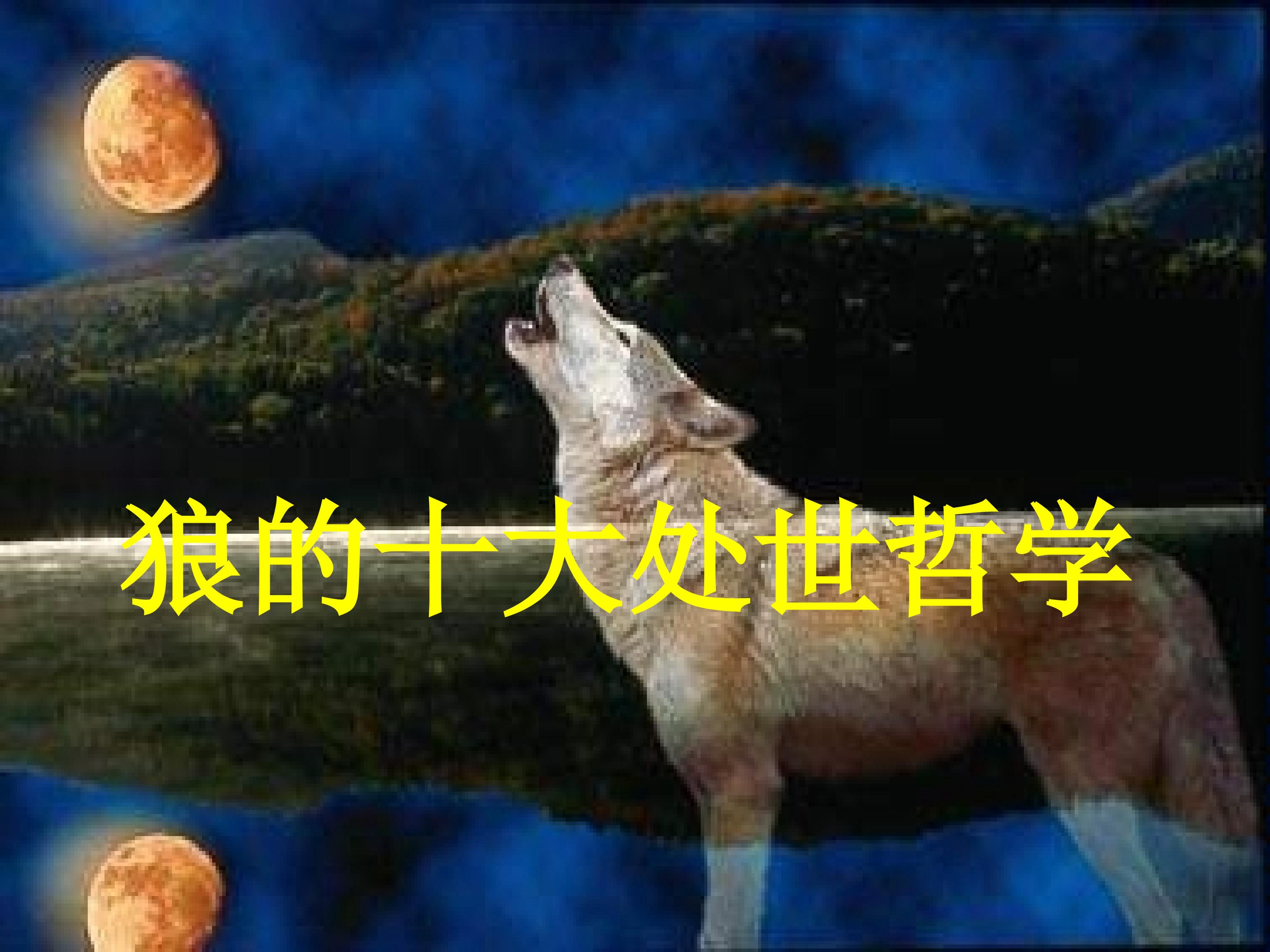 34.jpg