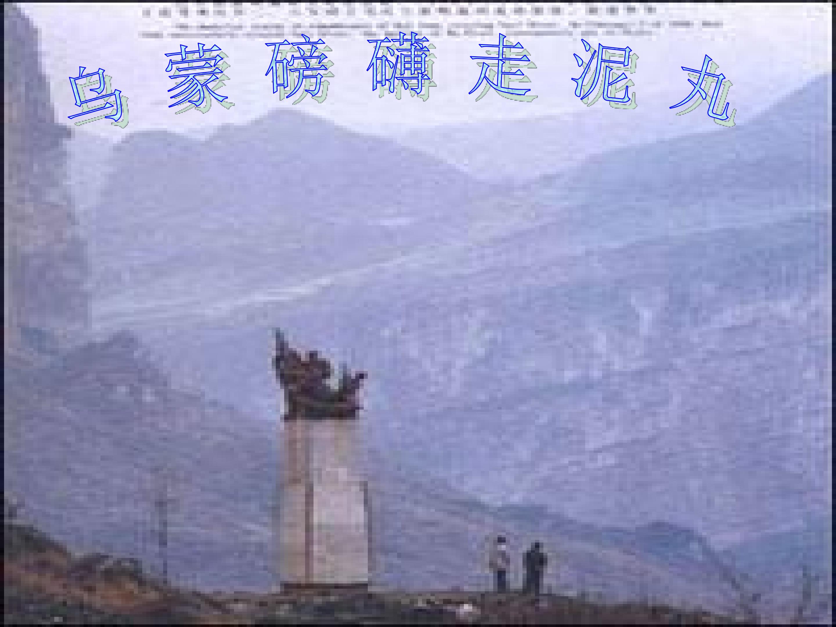 11.jpg