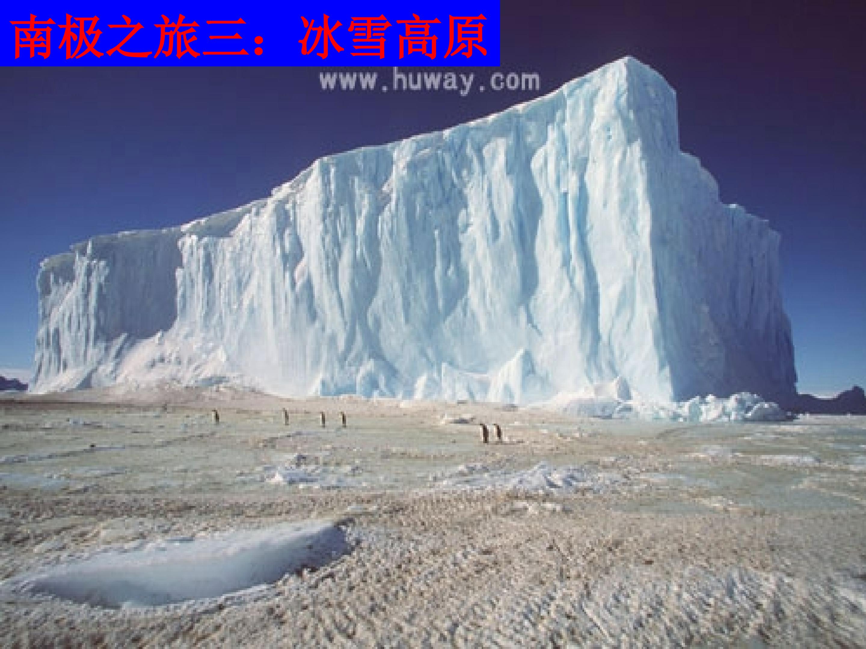 59.jpg
