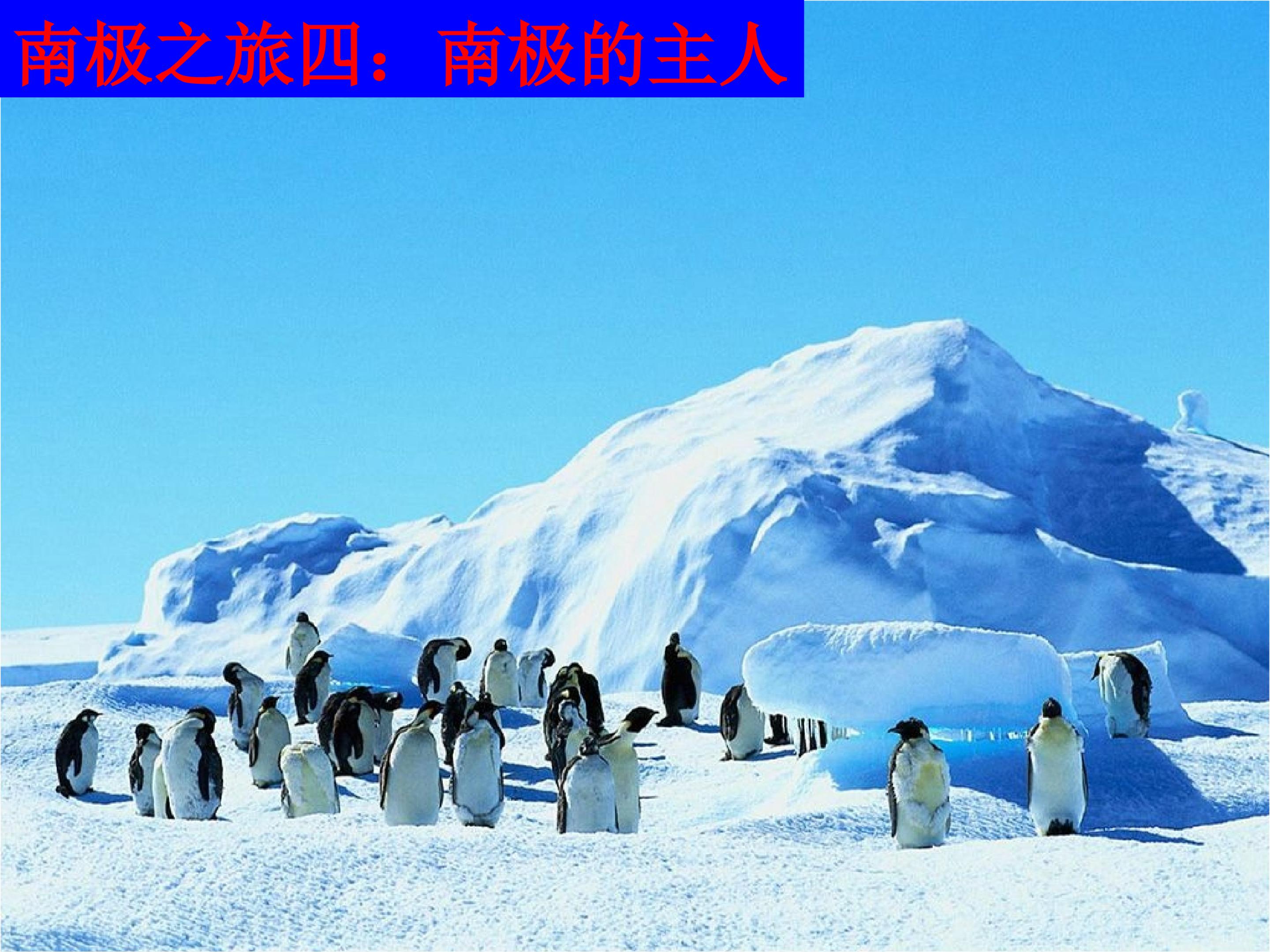 62.jpg