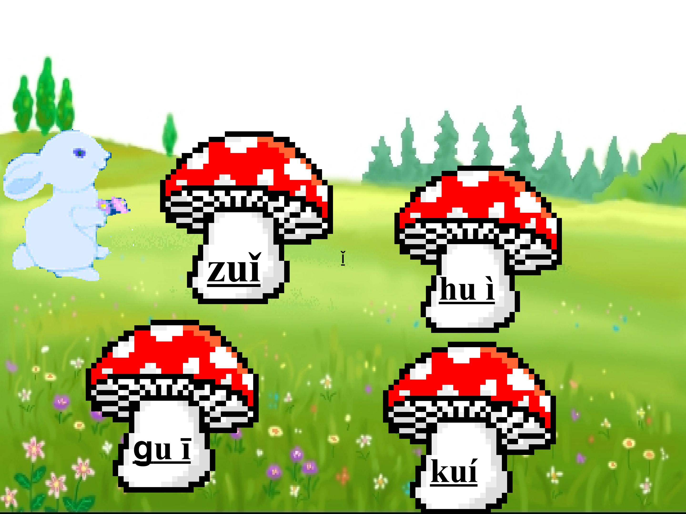 16.jpg
