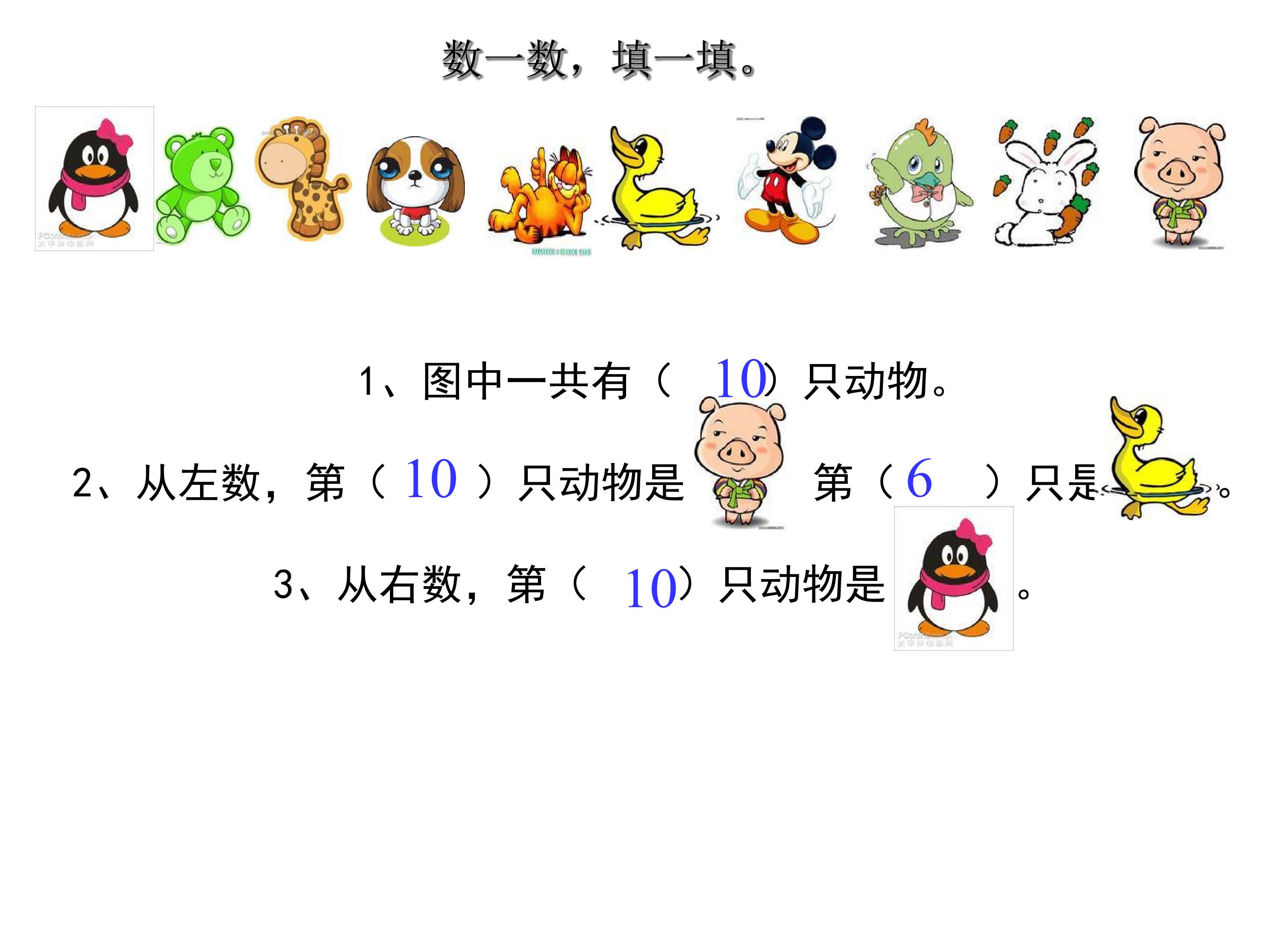 15.jpg