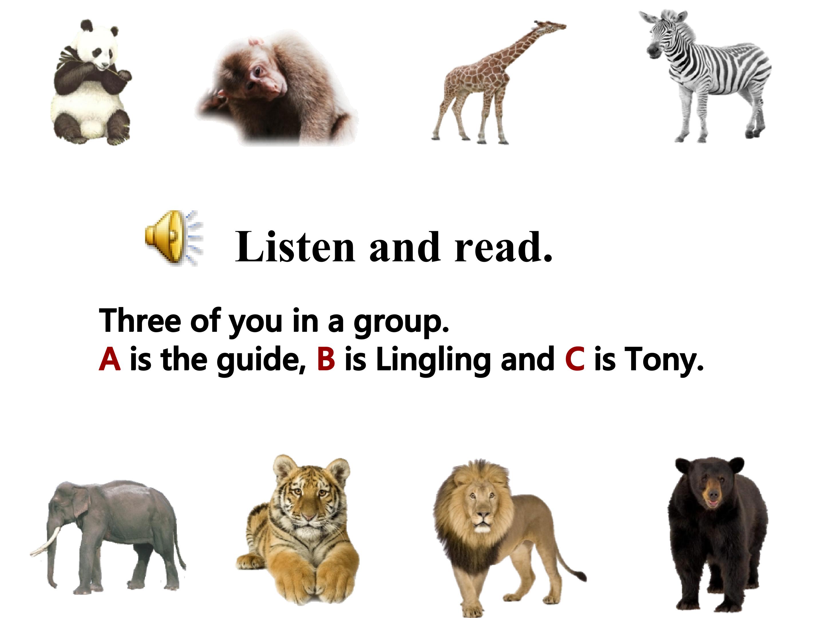14.jpg