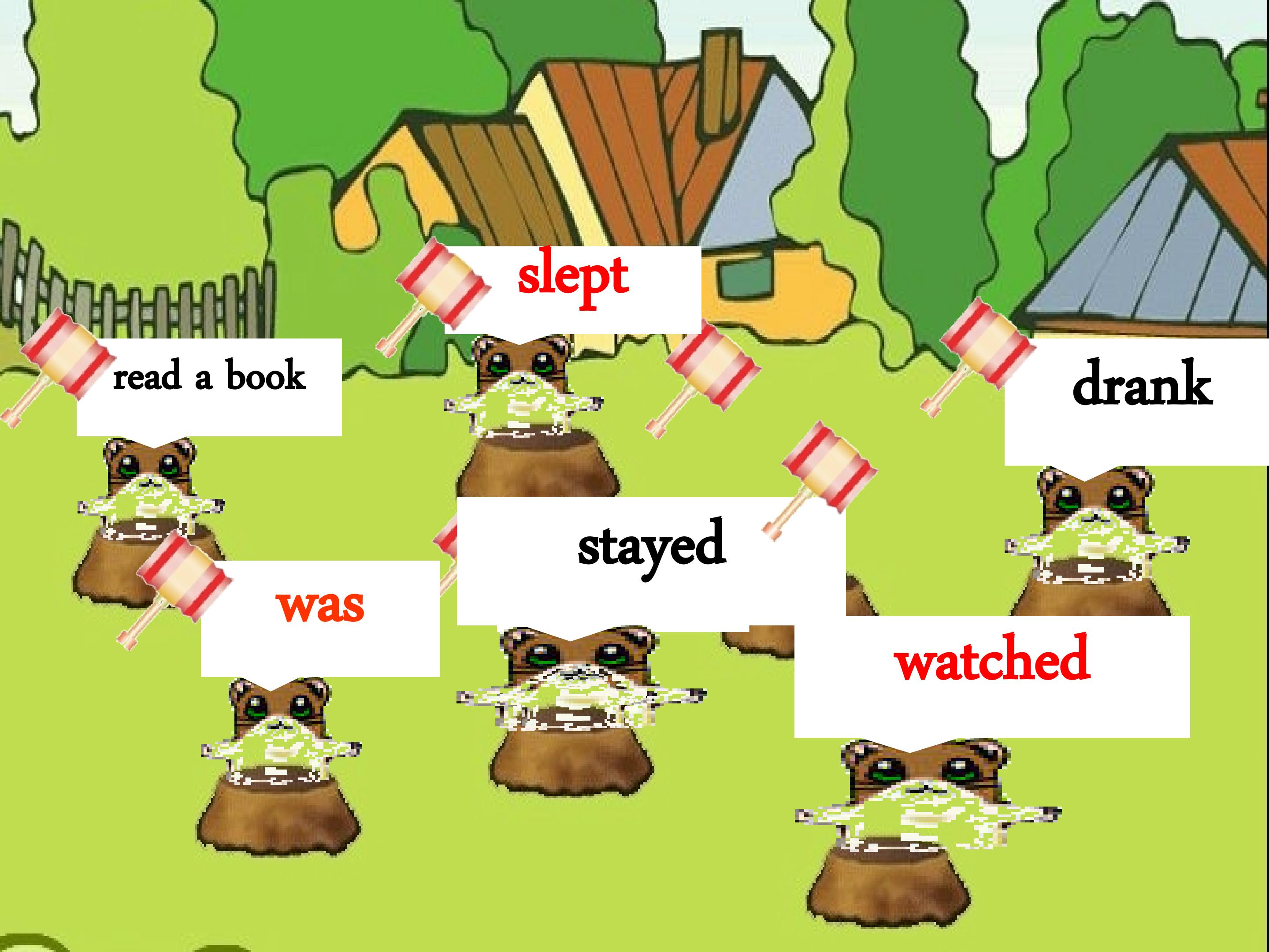 2.jpg
