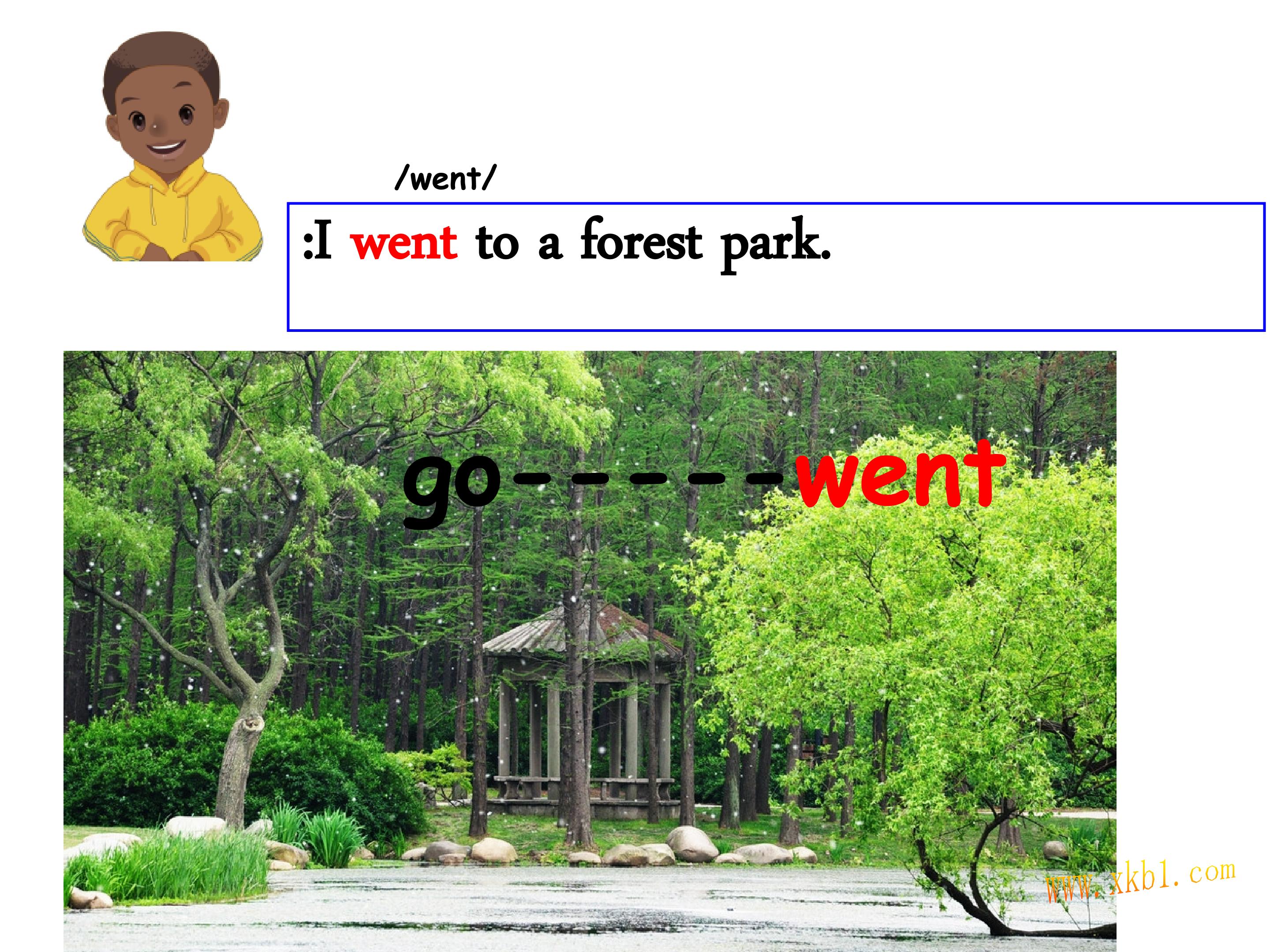 6.jpg