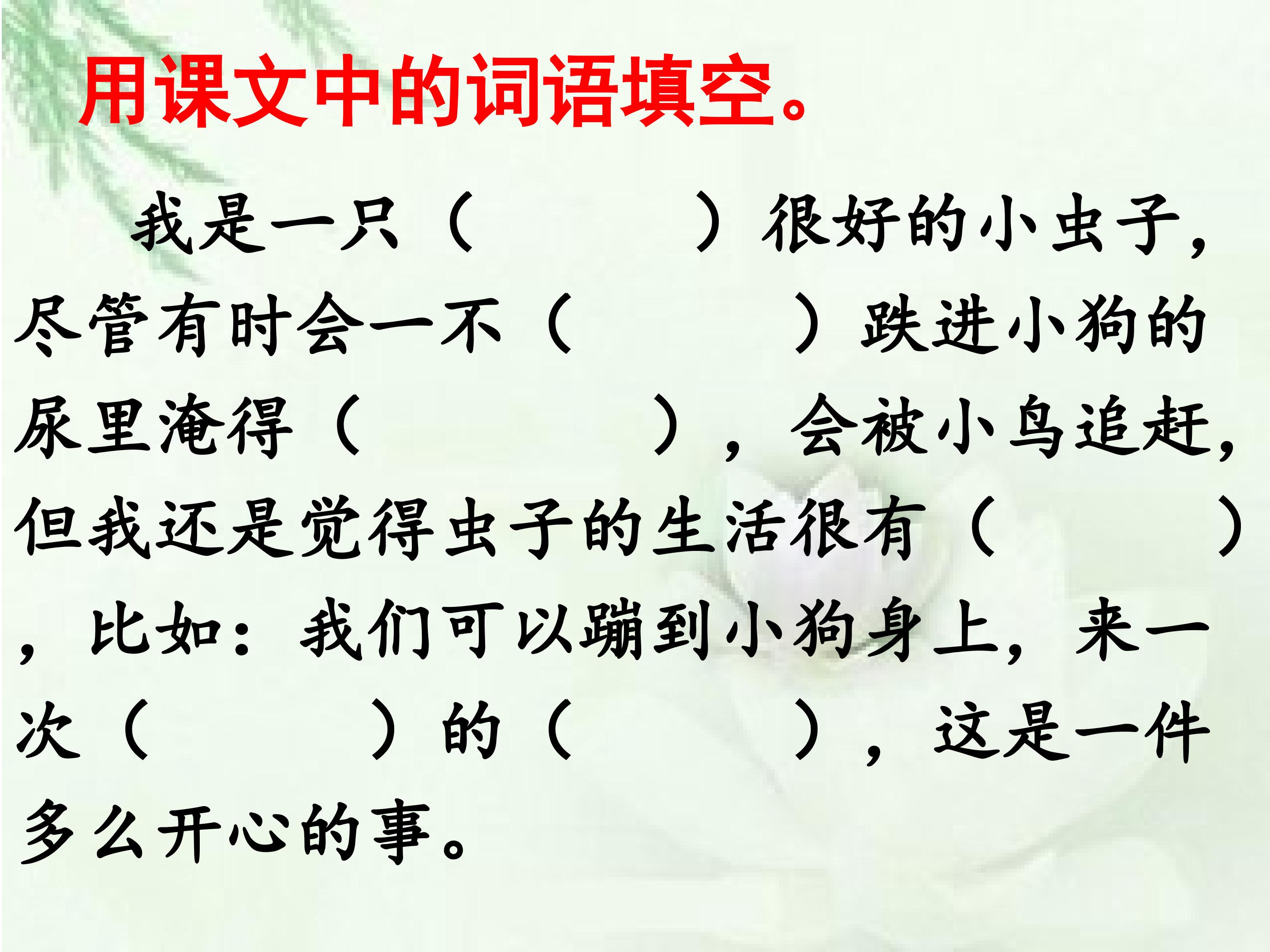 13.jpg