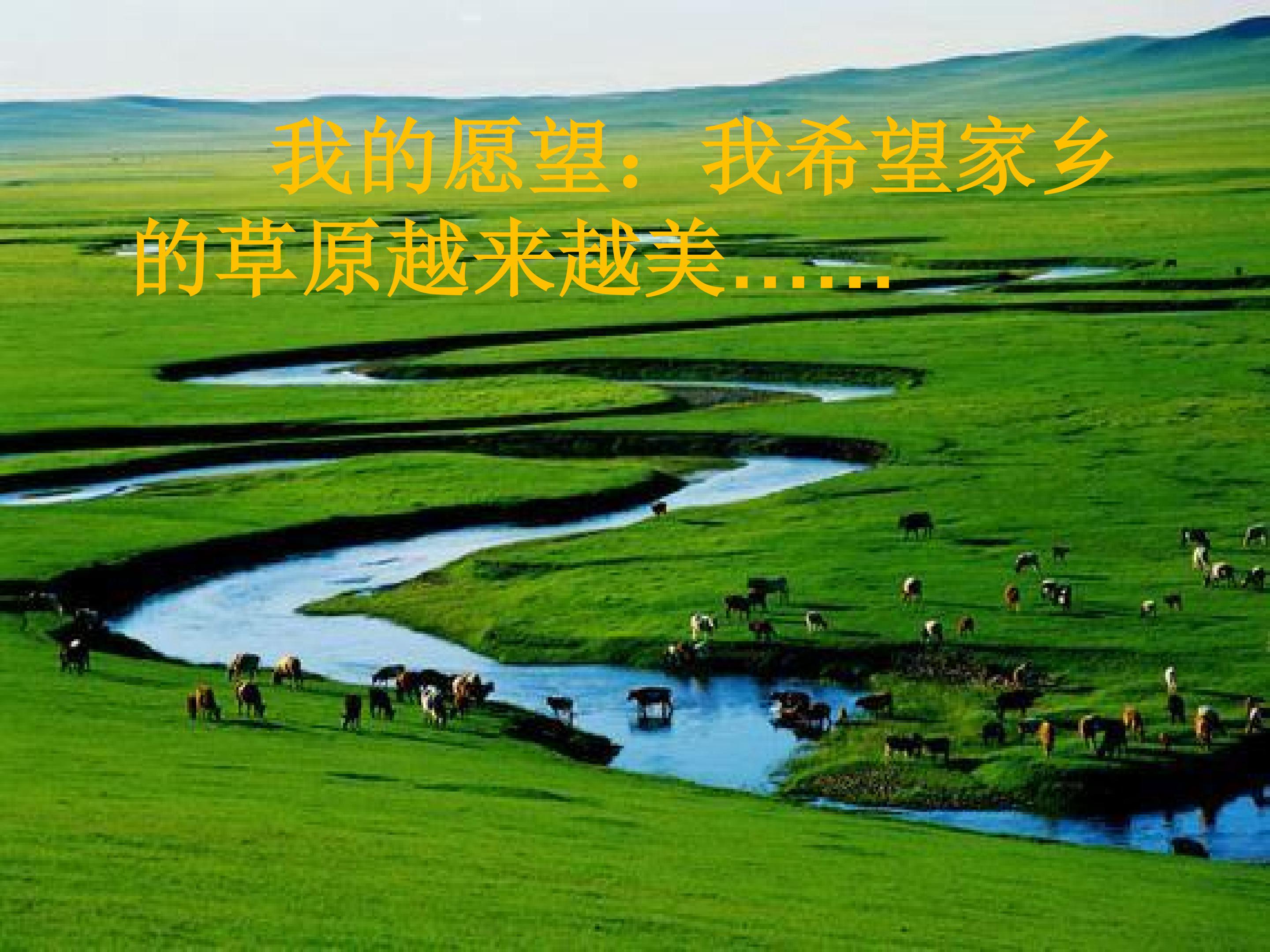 23.jpg