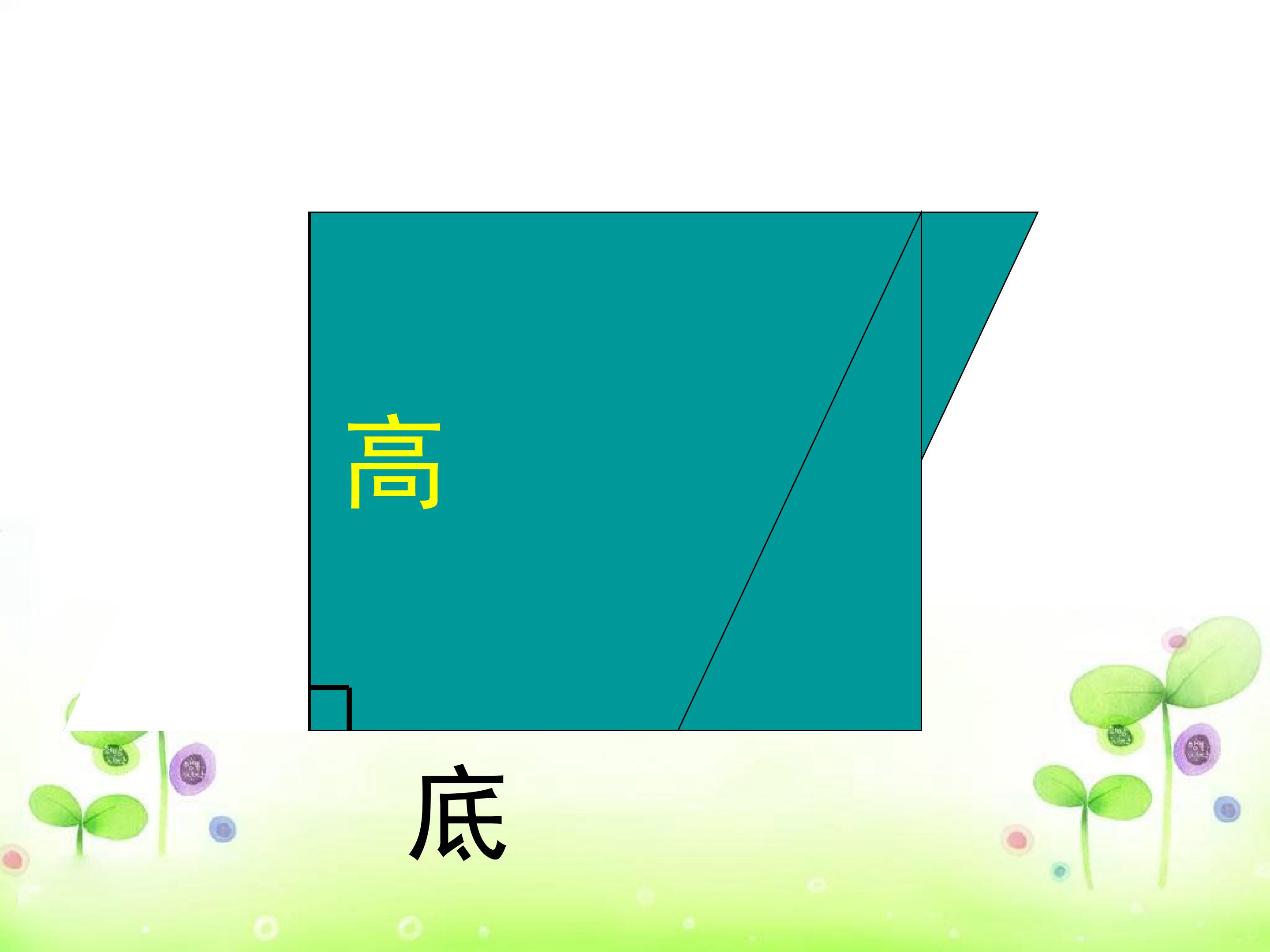 77.jpg