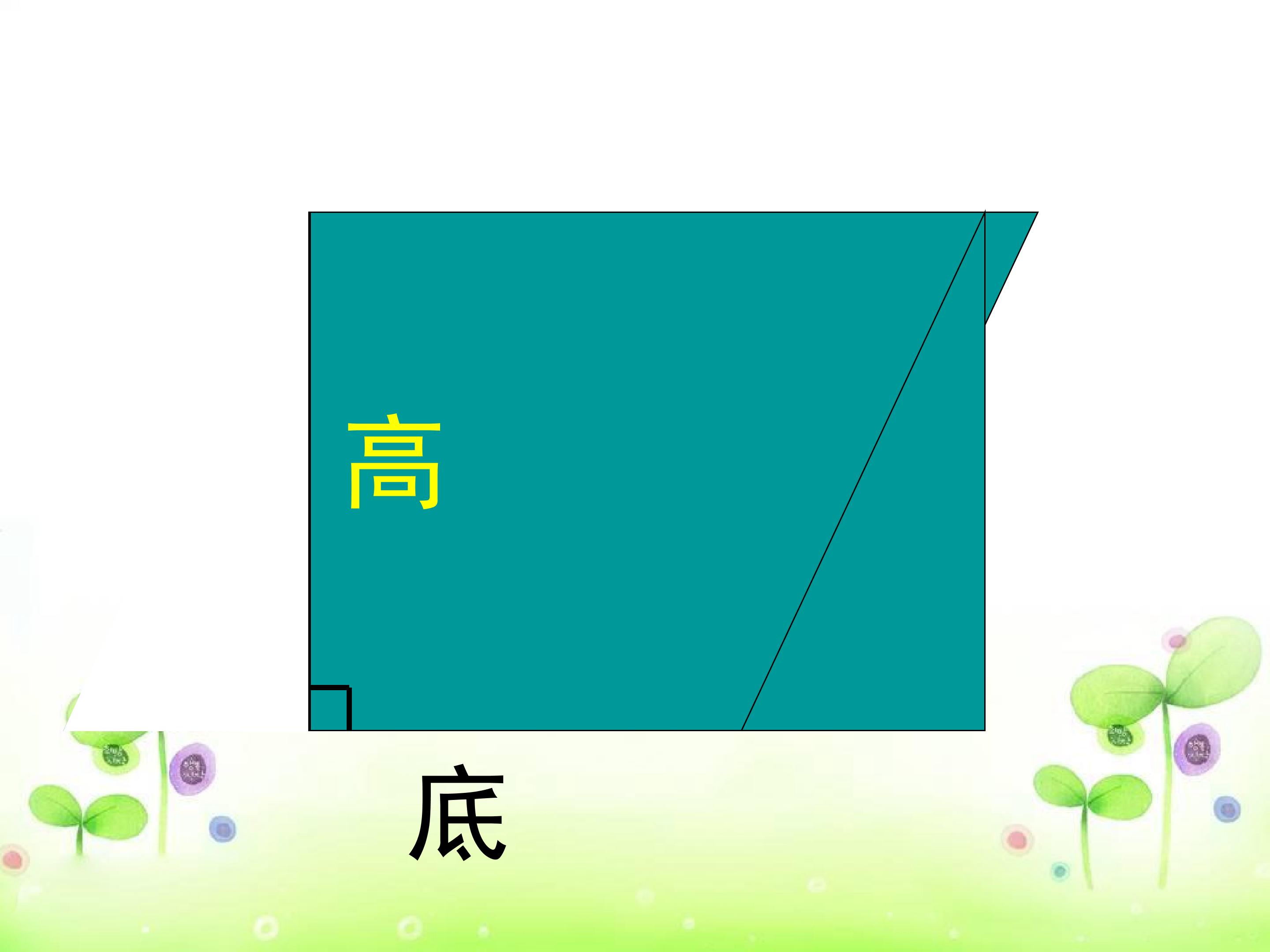79.jpg