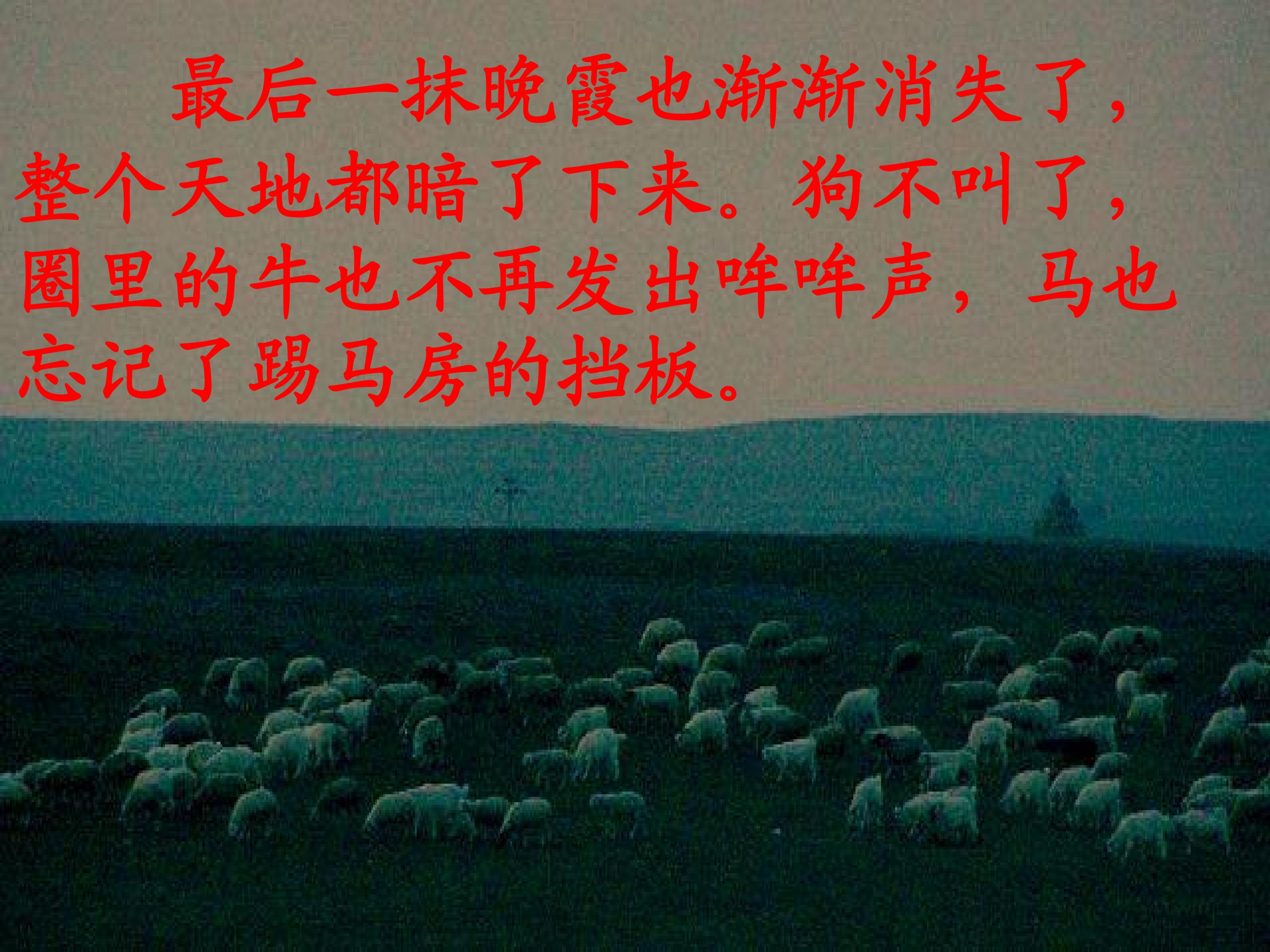 24.jpg