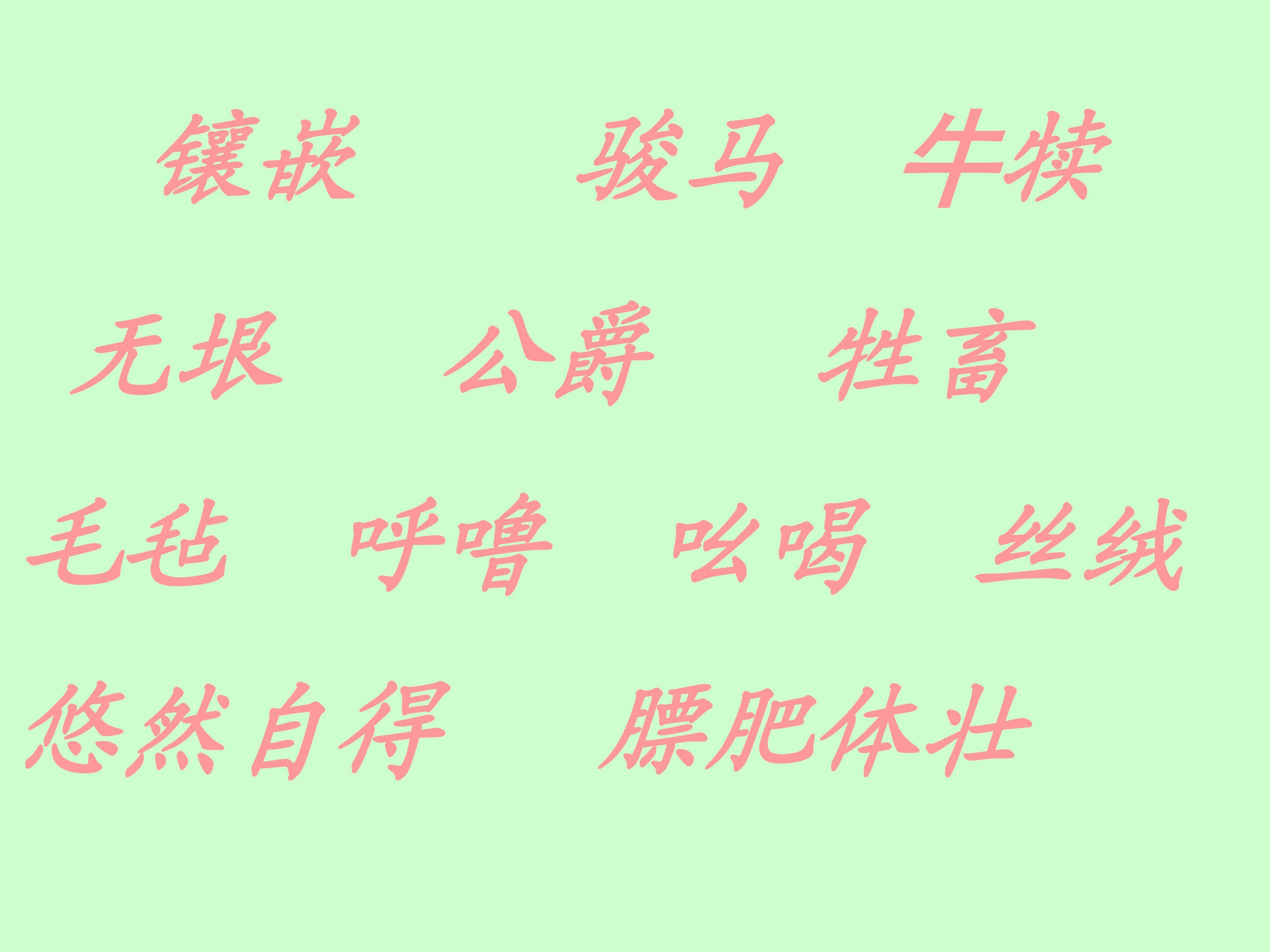 8.jpg