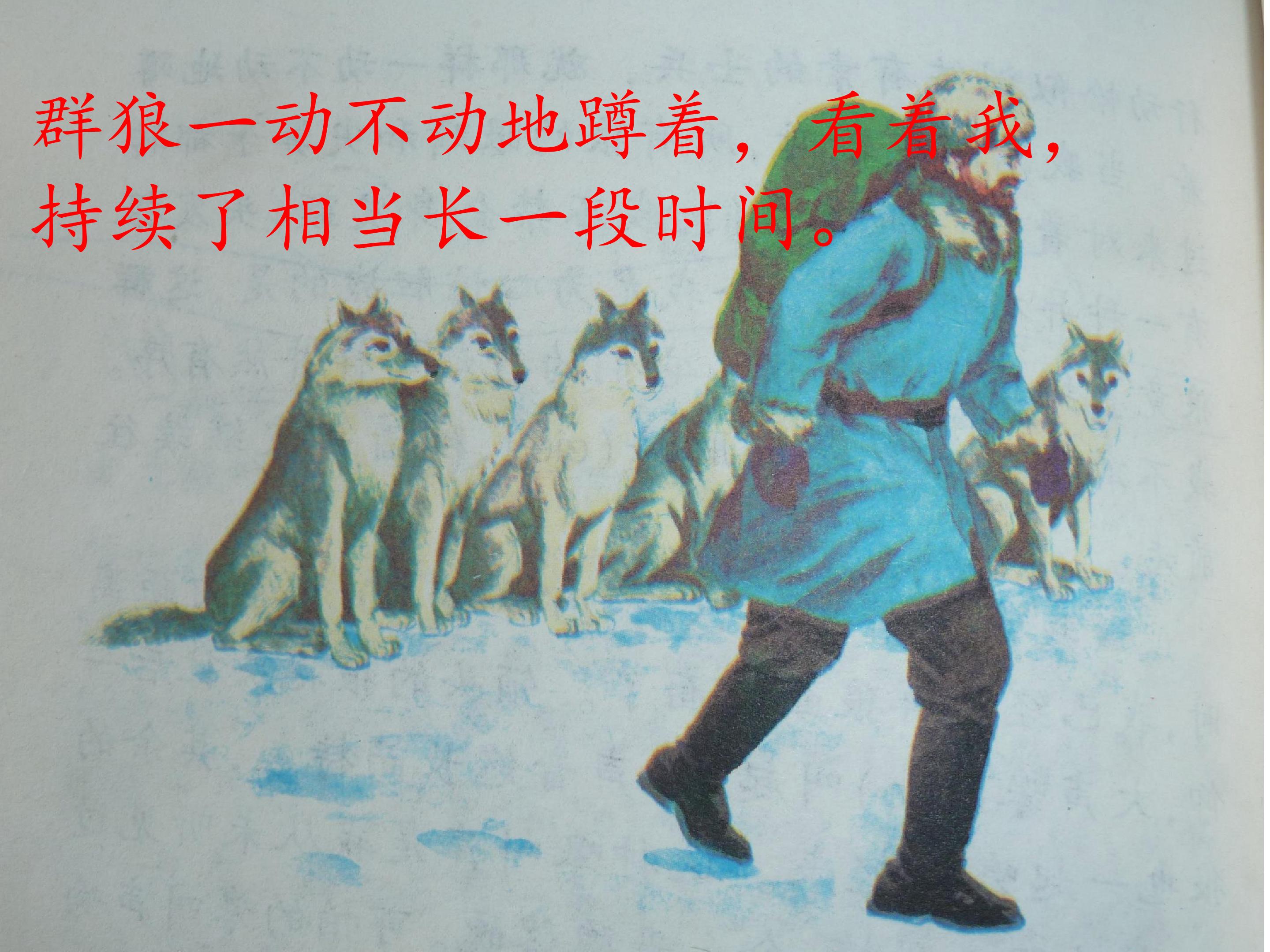 20.jpg
