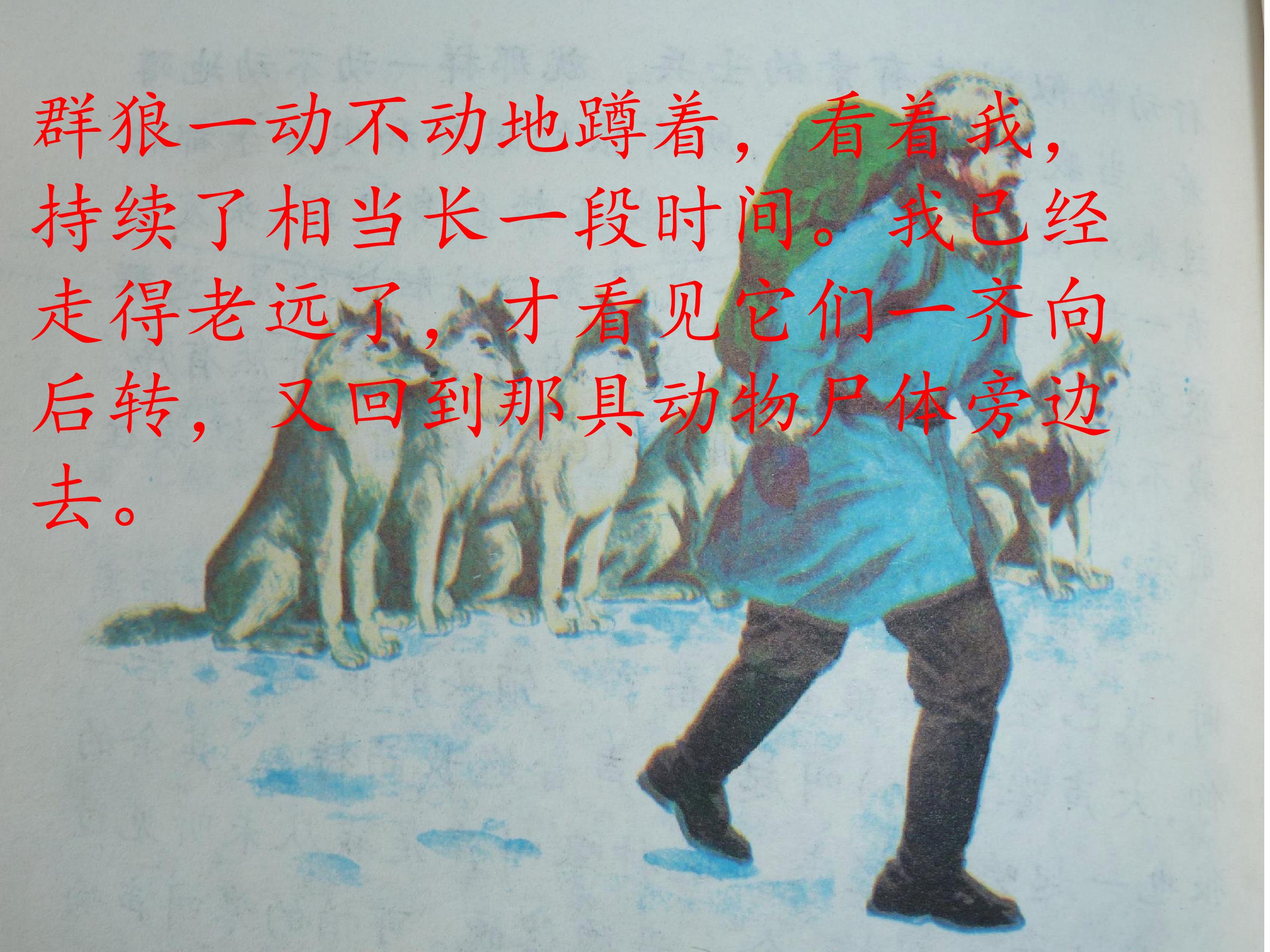 21.jpg