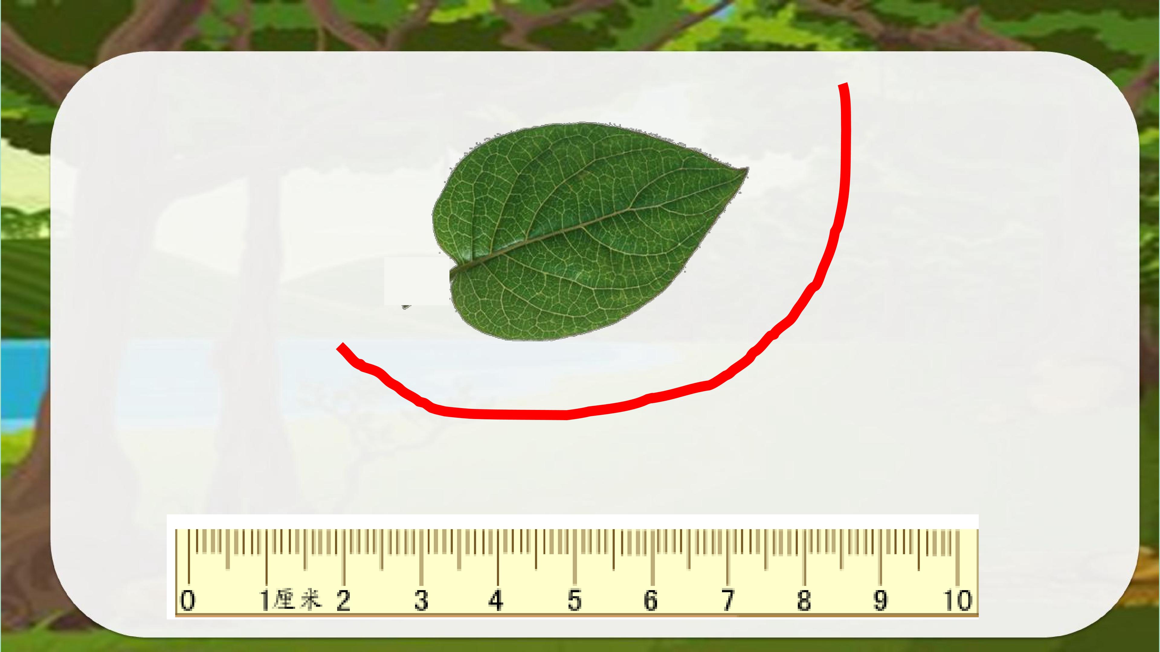 16.jpg