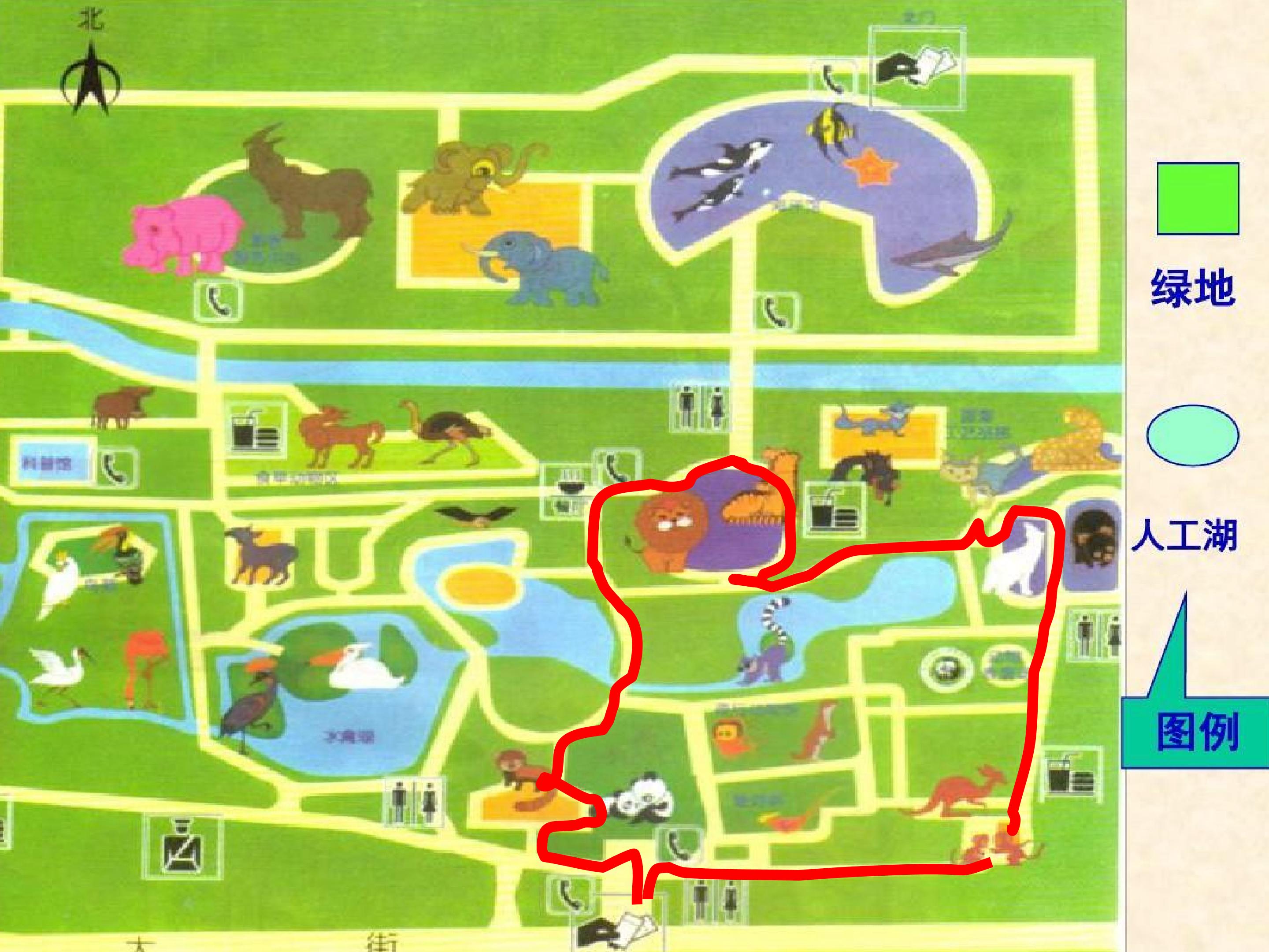 9.jpg