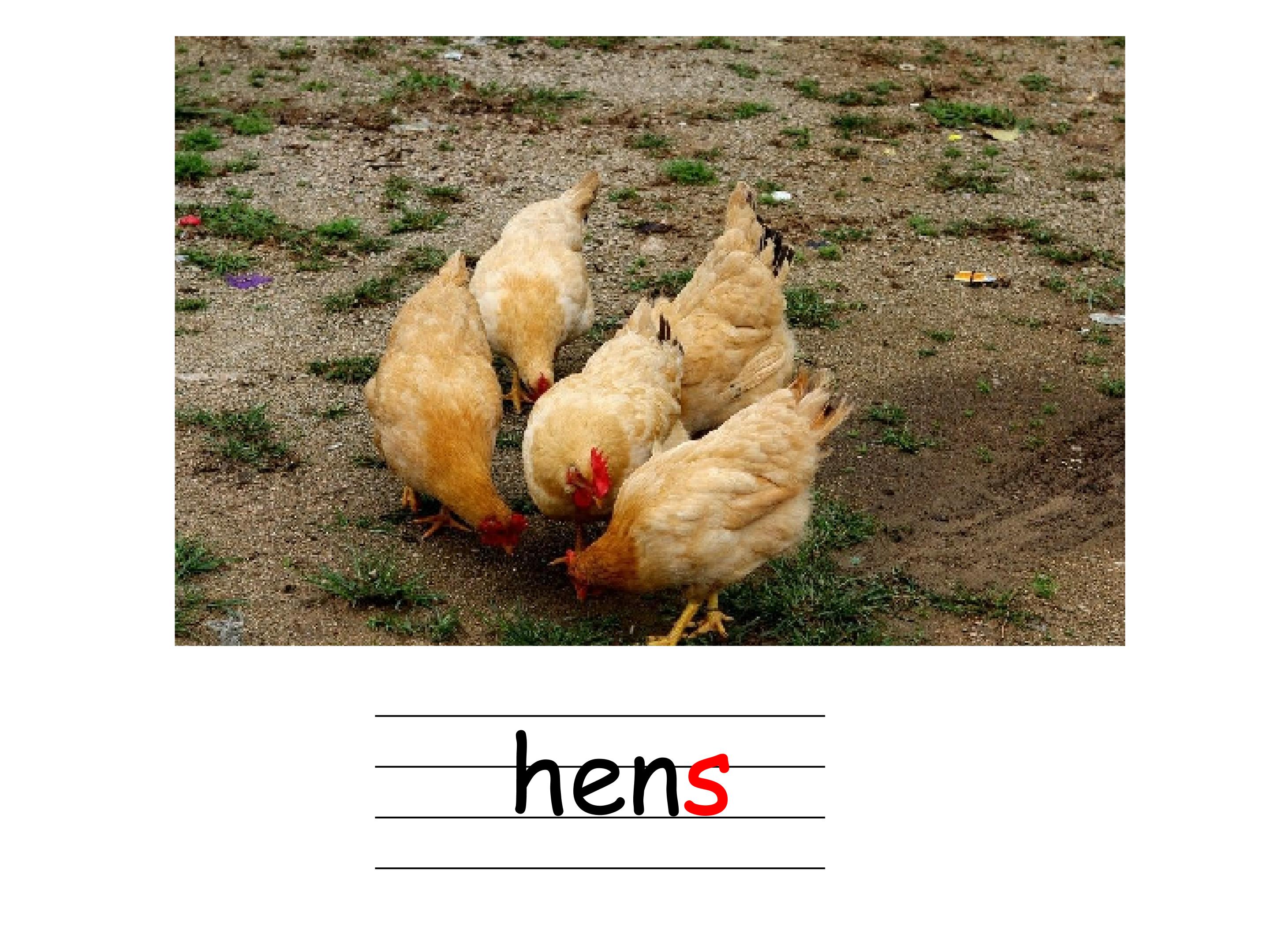 4.jpg