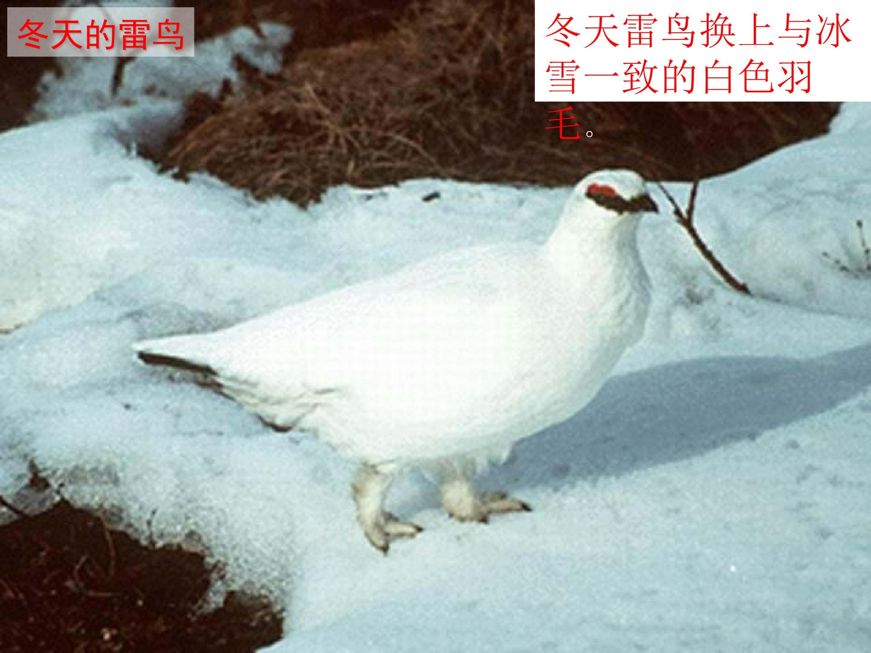 23.jpg