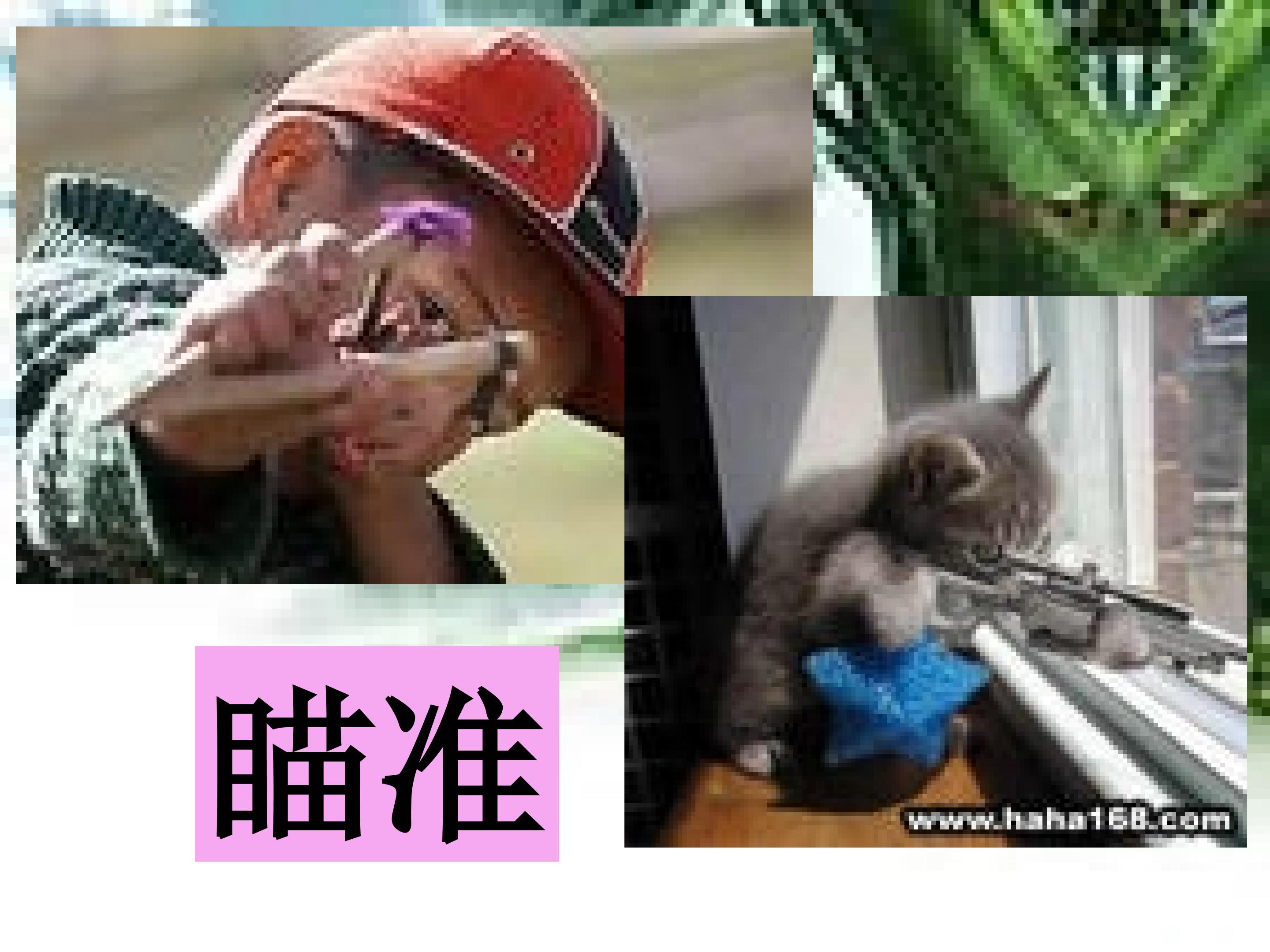 10.jpg