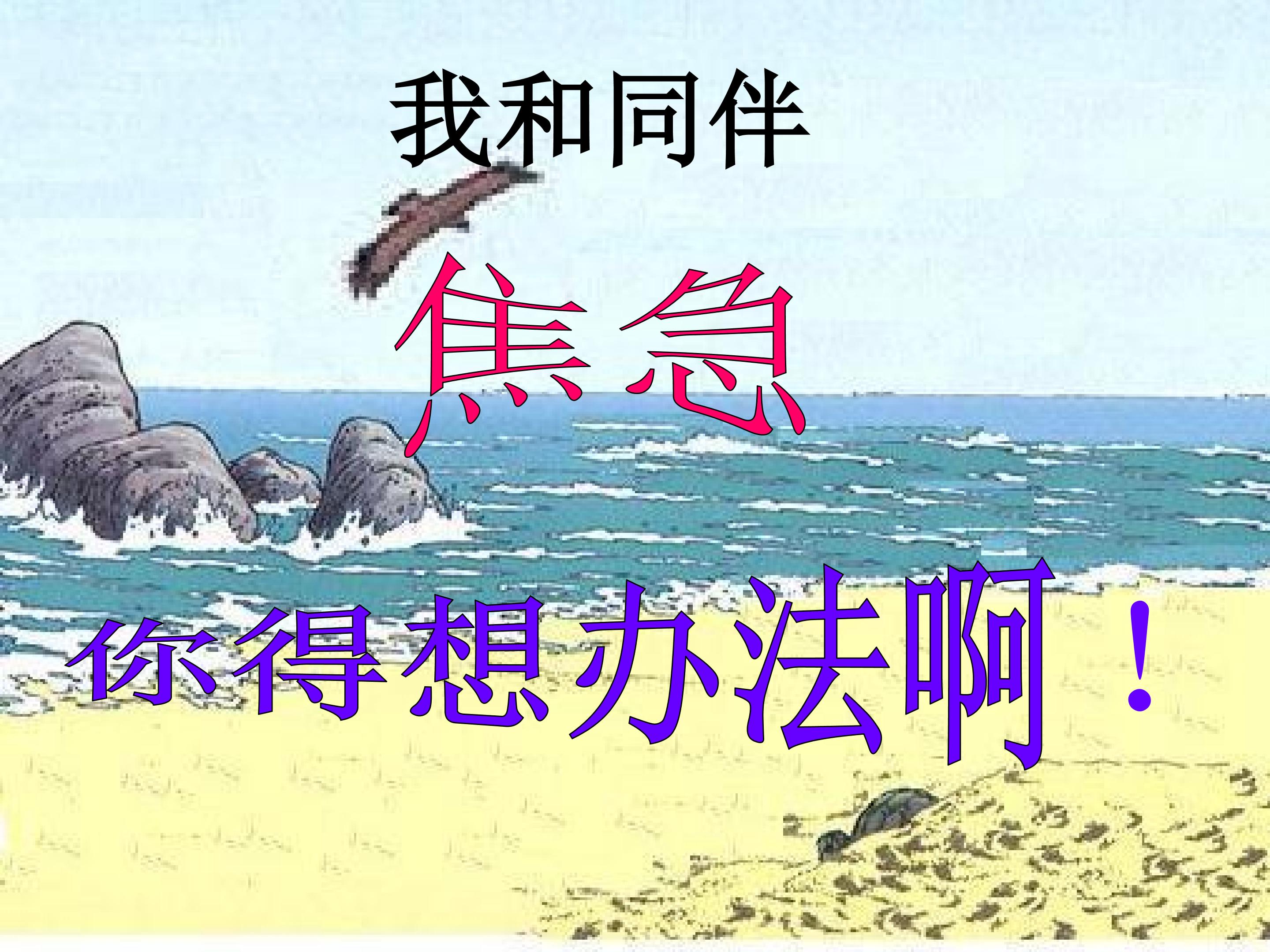55.jpg