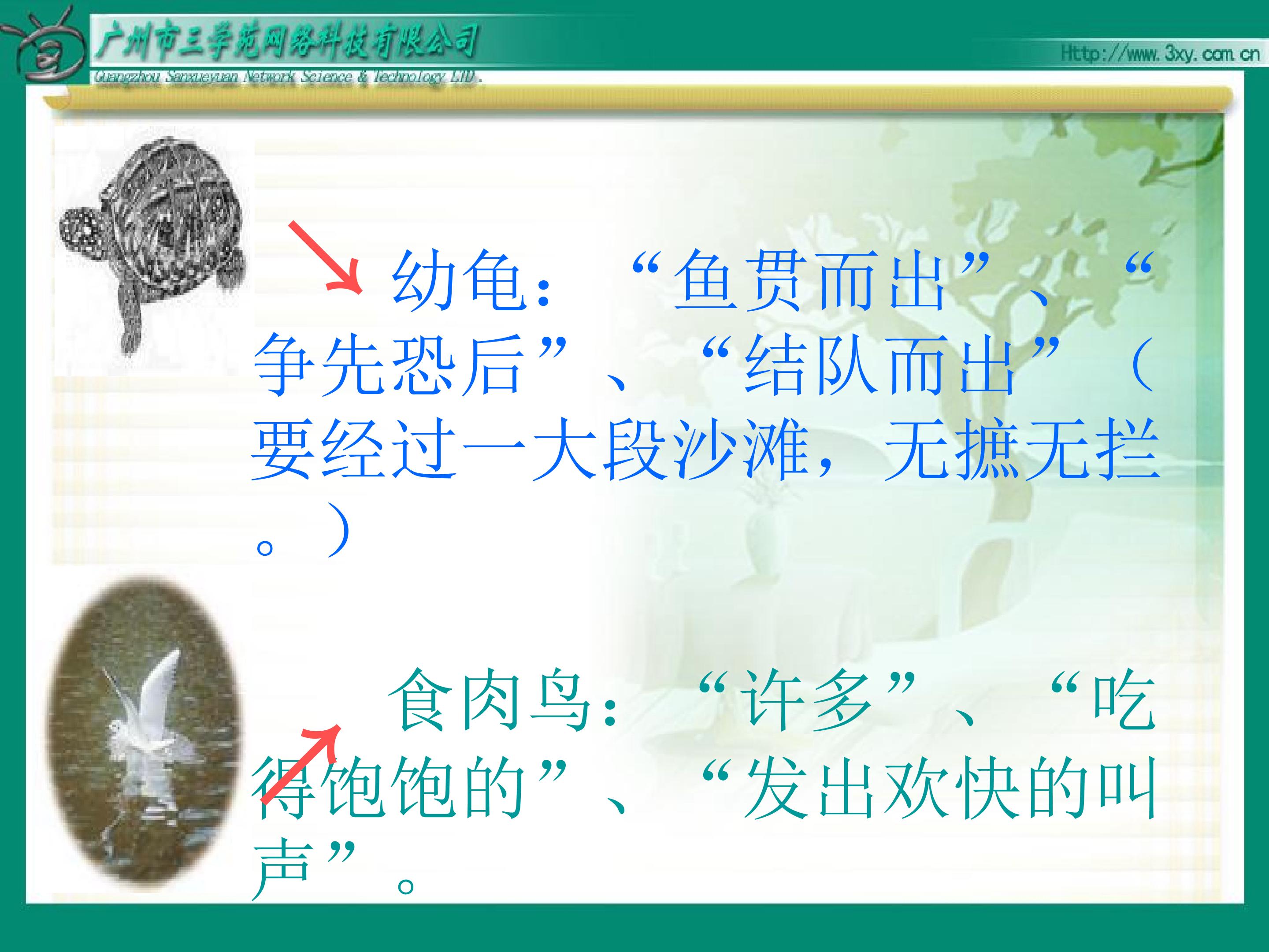 65.jpg