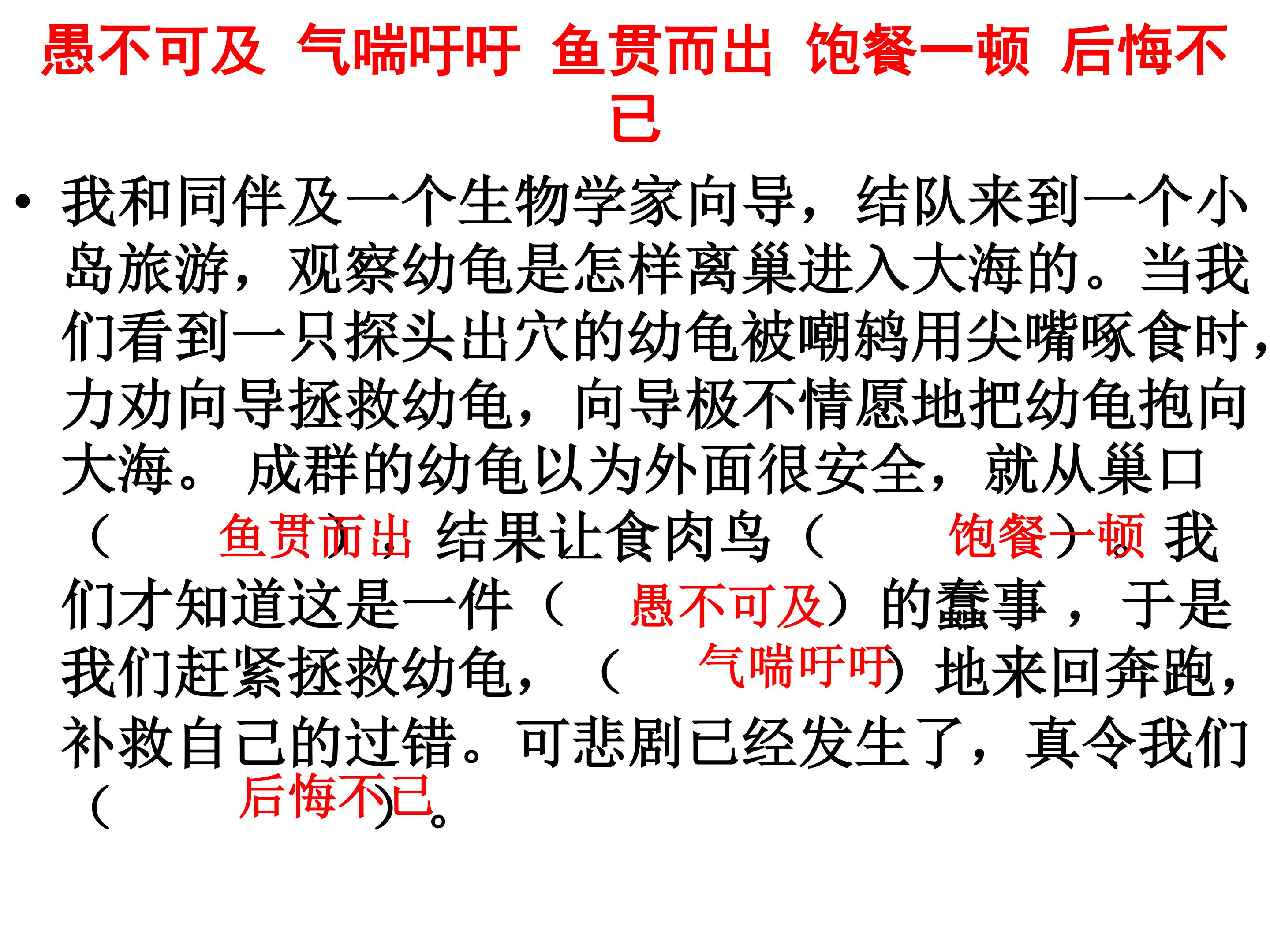 87.jpg