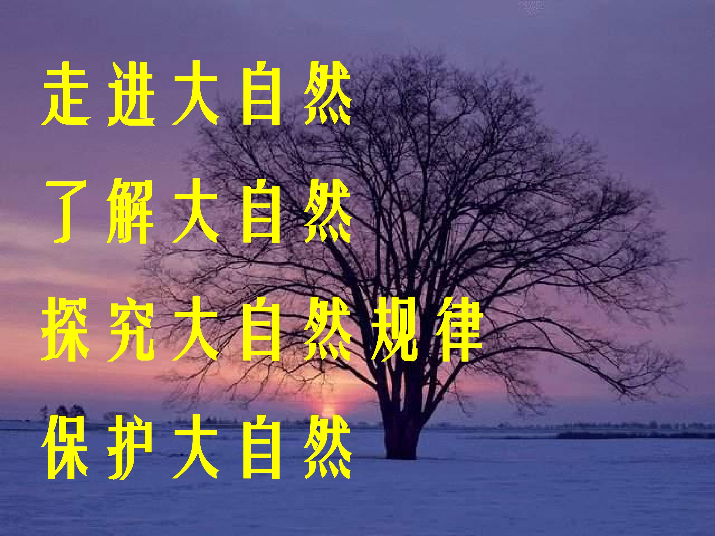 91.jpg