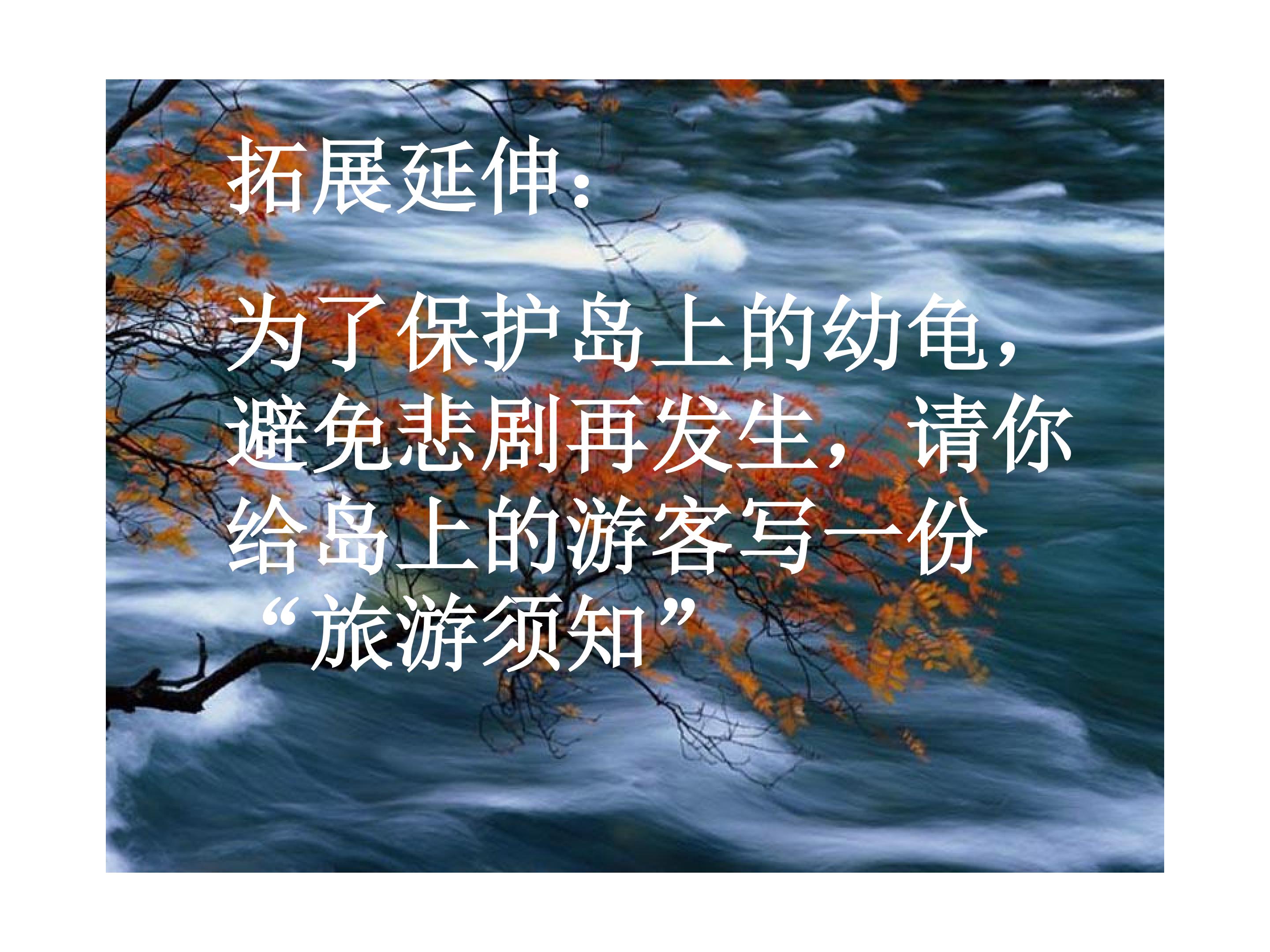 92.jpg
