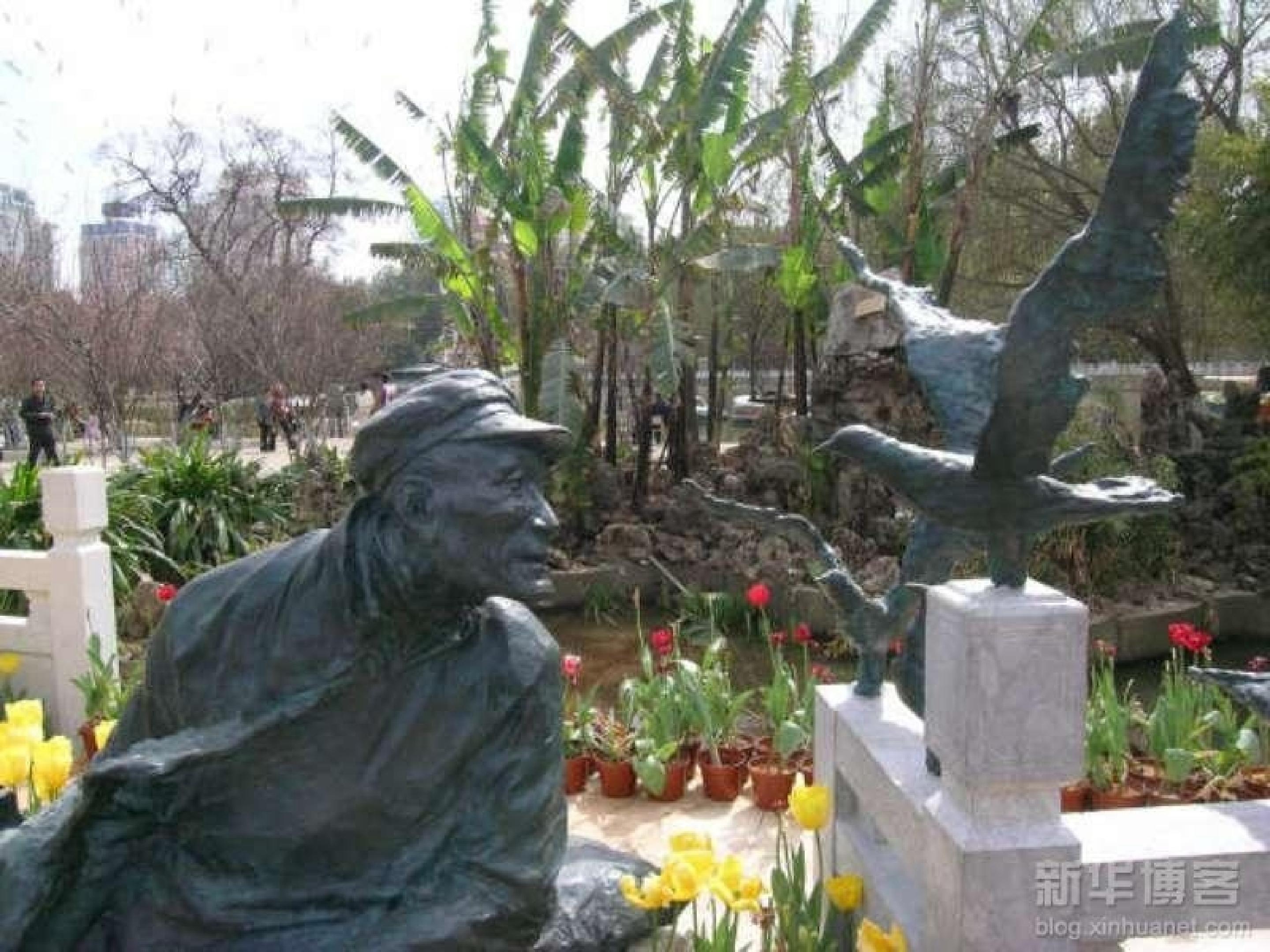 15.jpg