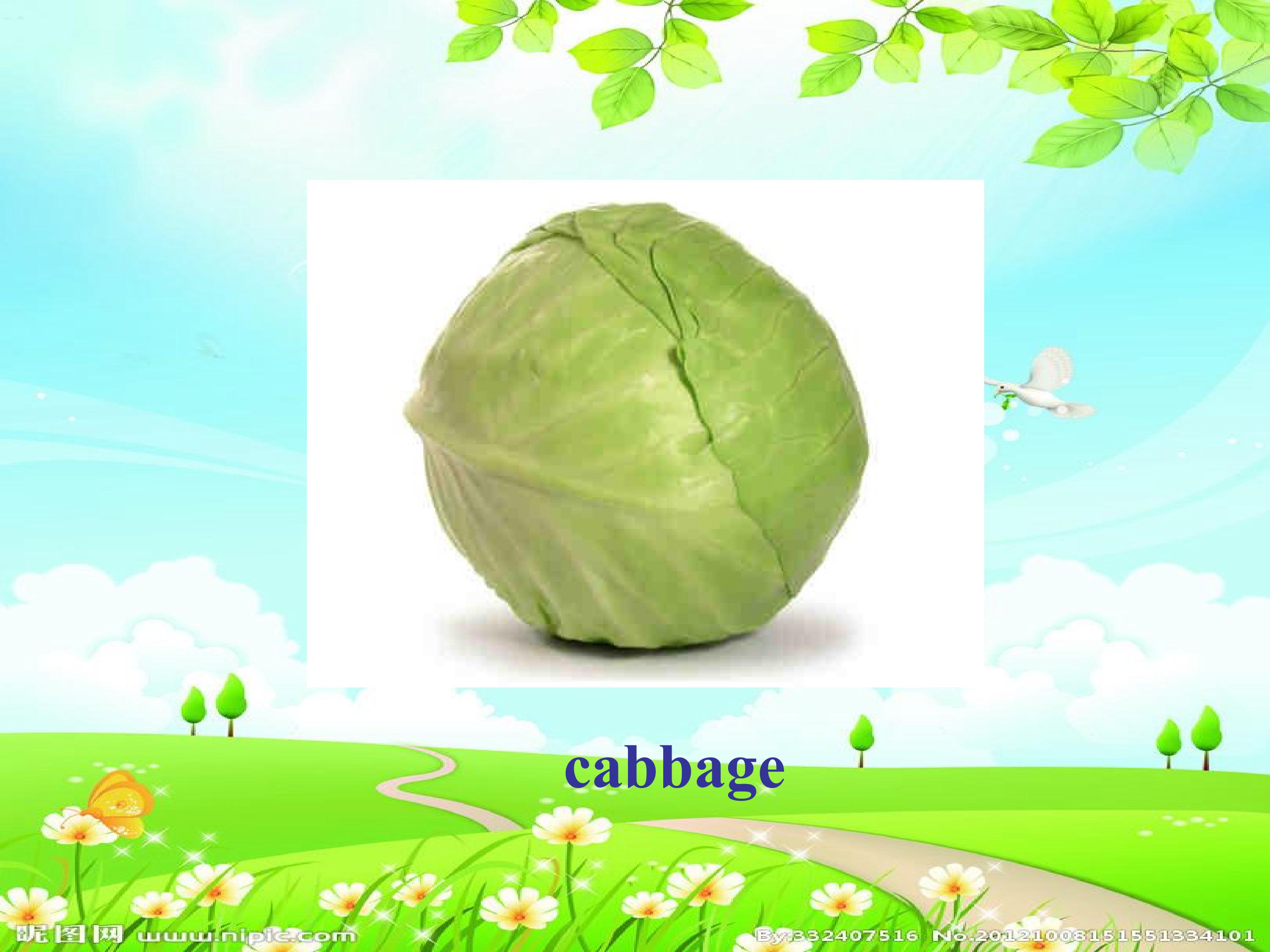 12.jpg