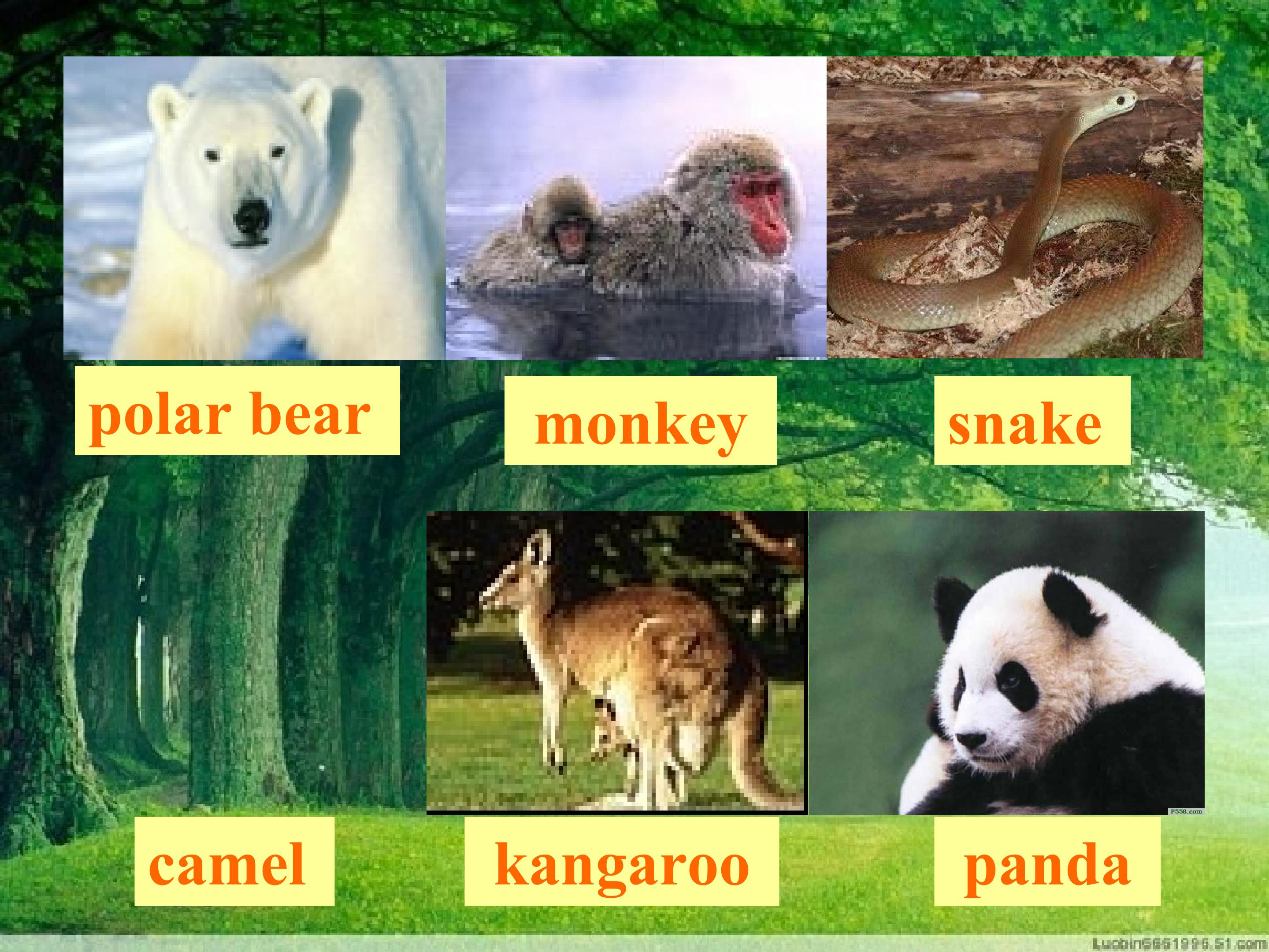 15.jpg