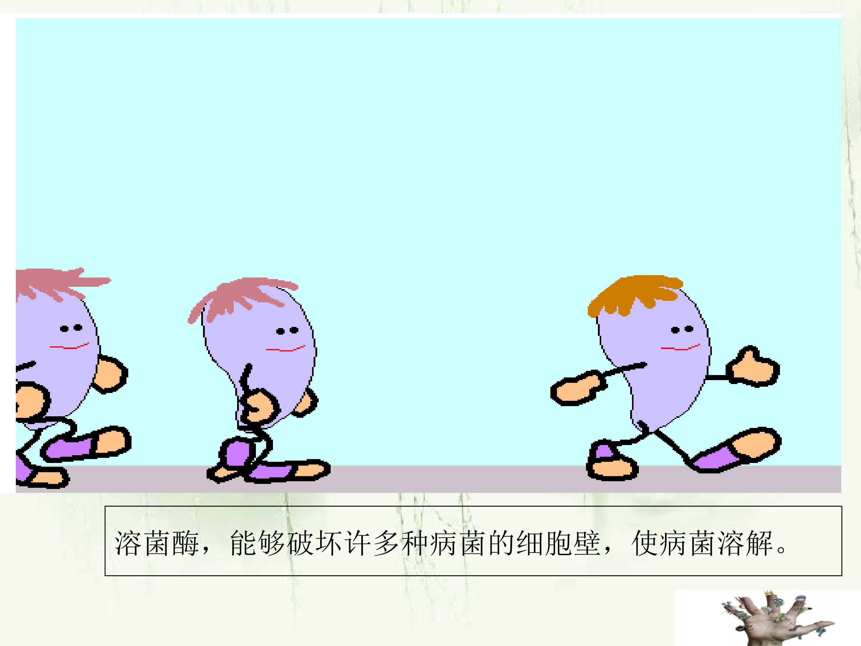 26.jpg