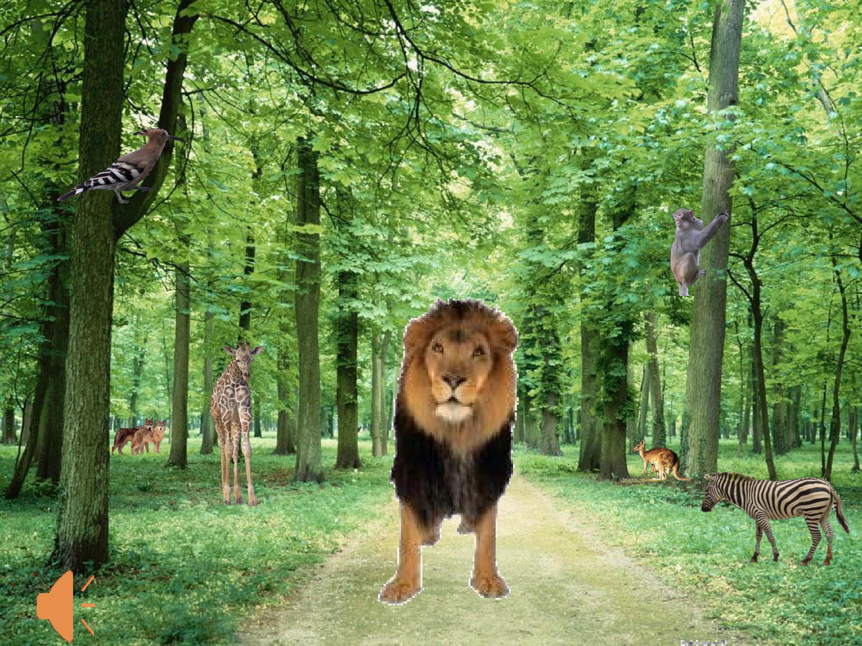 20.jpg