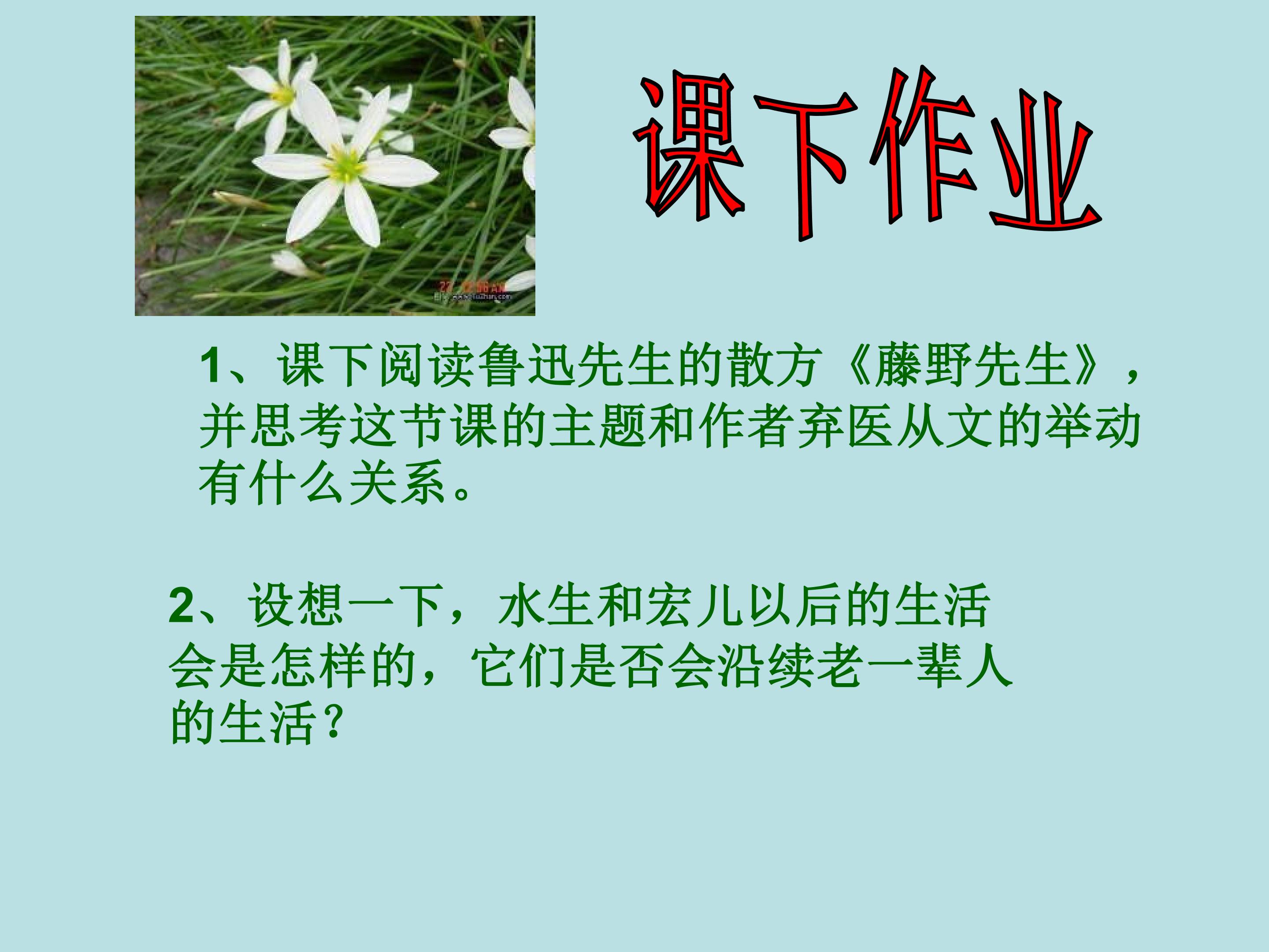 116.jpg