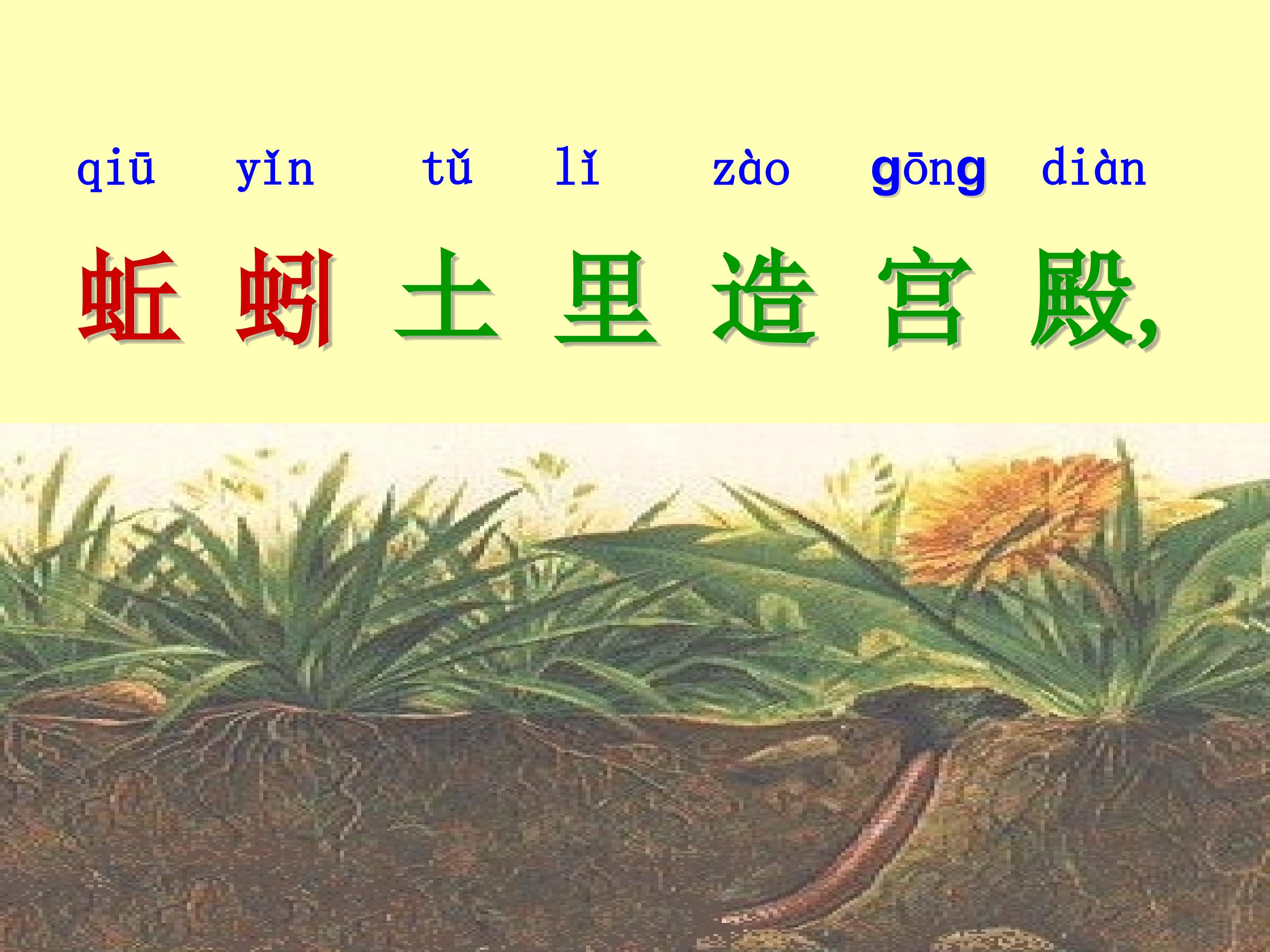 26.jpg