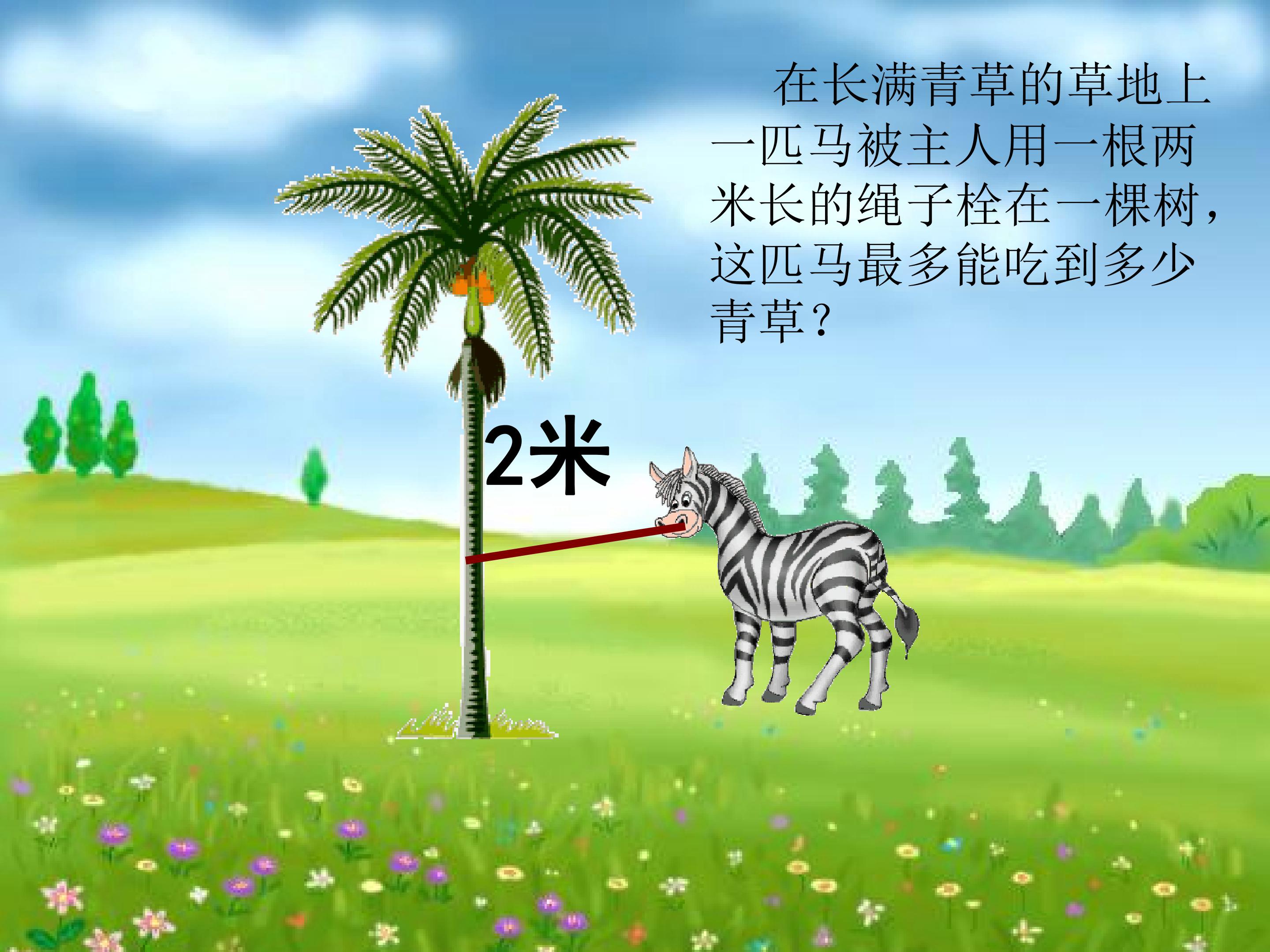 113.jpg