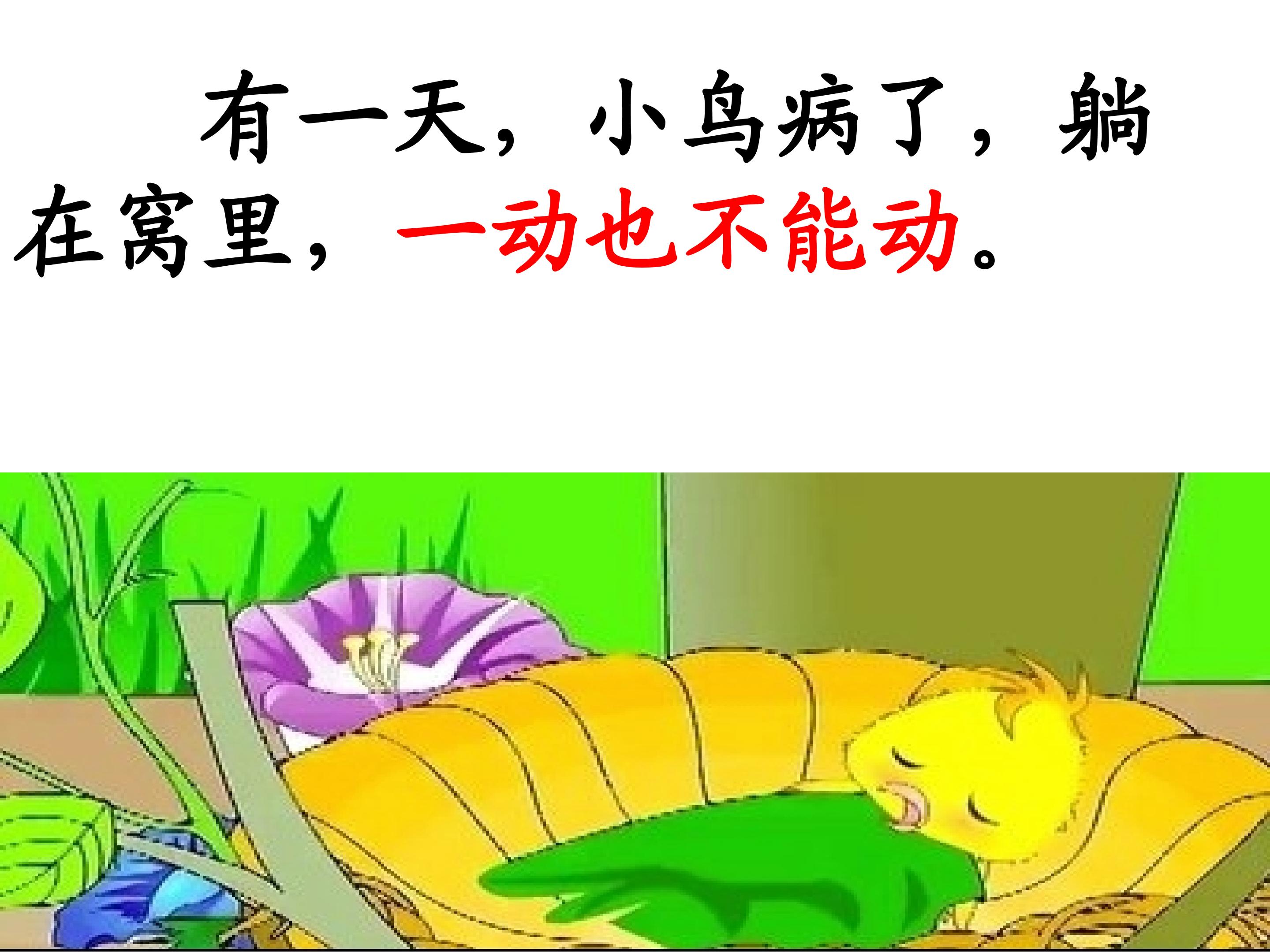 21.jpg